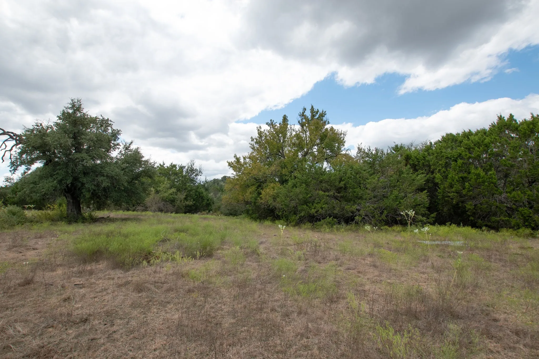 Ranch For Sale in Coryell County , TBD TBD-384 Acres, Gatesville, Texas 76528, 0, 0, Garage spaces, 0 Sqft, built in 0, mls#21411721, Real Estate Agent in Gatesville, Homes For Sale in Coryell county, Homes For Sale in Gatesville, Realtor in Gatesville Texas, Real Estate Brokerage Independent Realty Texas, Luminita Cordes Realtor