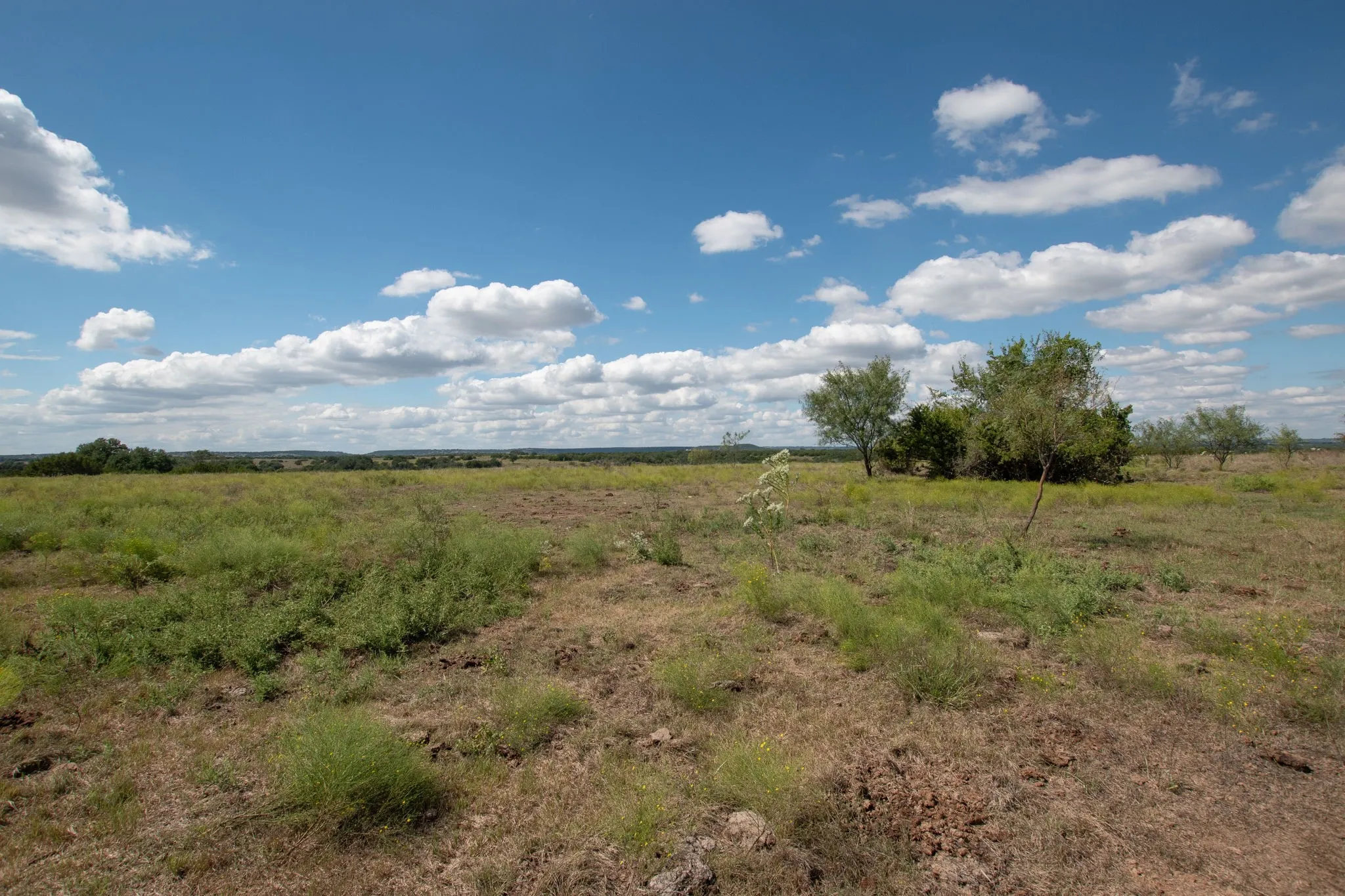 Ranch For Sale in Coryell County , TBD TBD-384 Acres, Gatesville, Texas 76528, 0, 0, Garage spaces, 0 Sqft, built in 0, mls#21411721, Real Estate Agent in Gatesville, Homes For Sale in Coryell county, Homes For Sale in Gatesville, Realtor in Gatesville Texas, Real Estate Brokerage Independent Realty Texas, Luminita Cordes Realtor