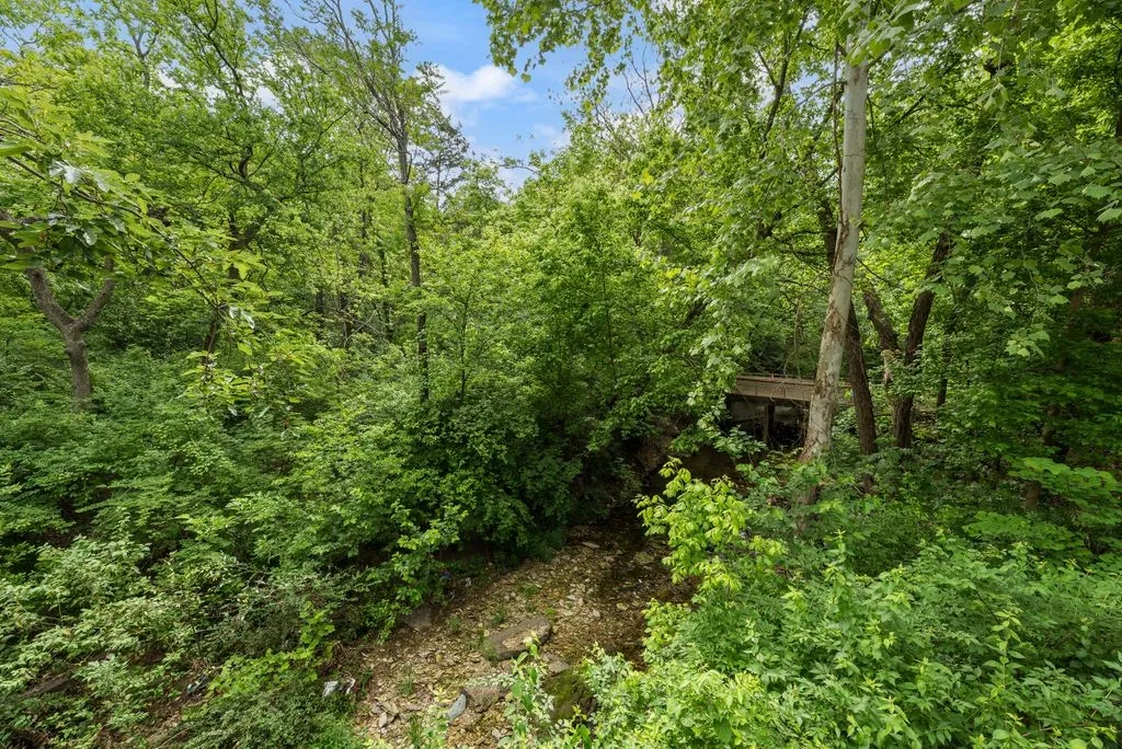 Wooded landscape featuring a natural creek bed, mature deciduous trees, and a wooden footbridge