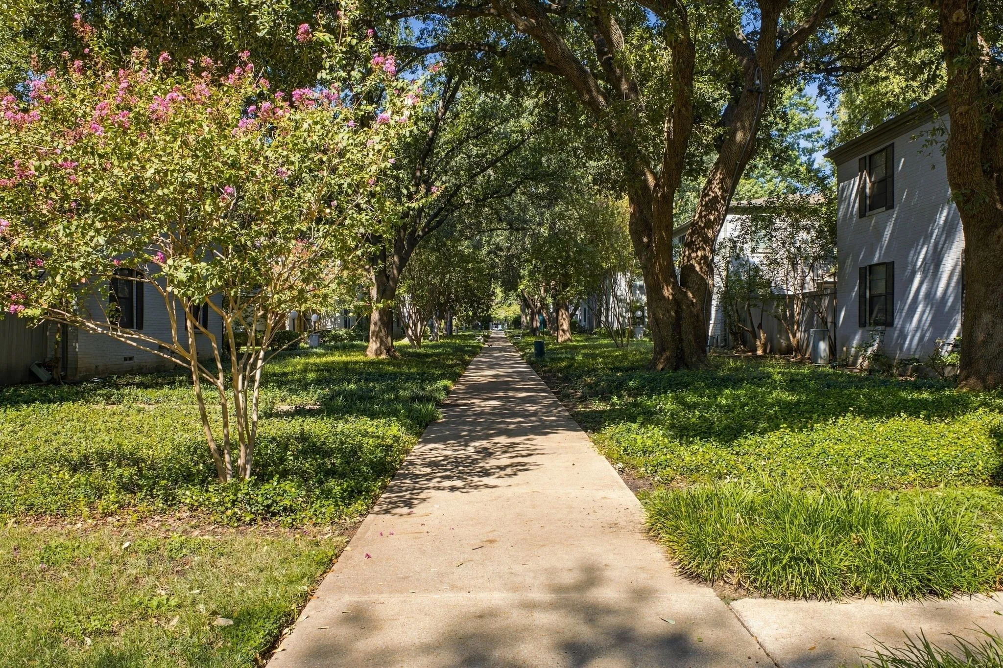 Concrete walkway lined with mature trees, established landscaping, and ornamental flowering shrubs