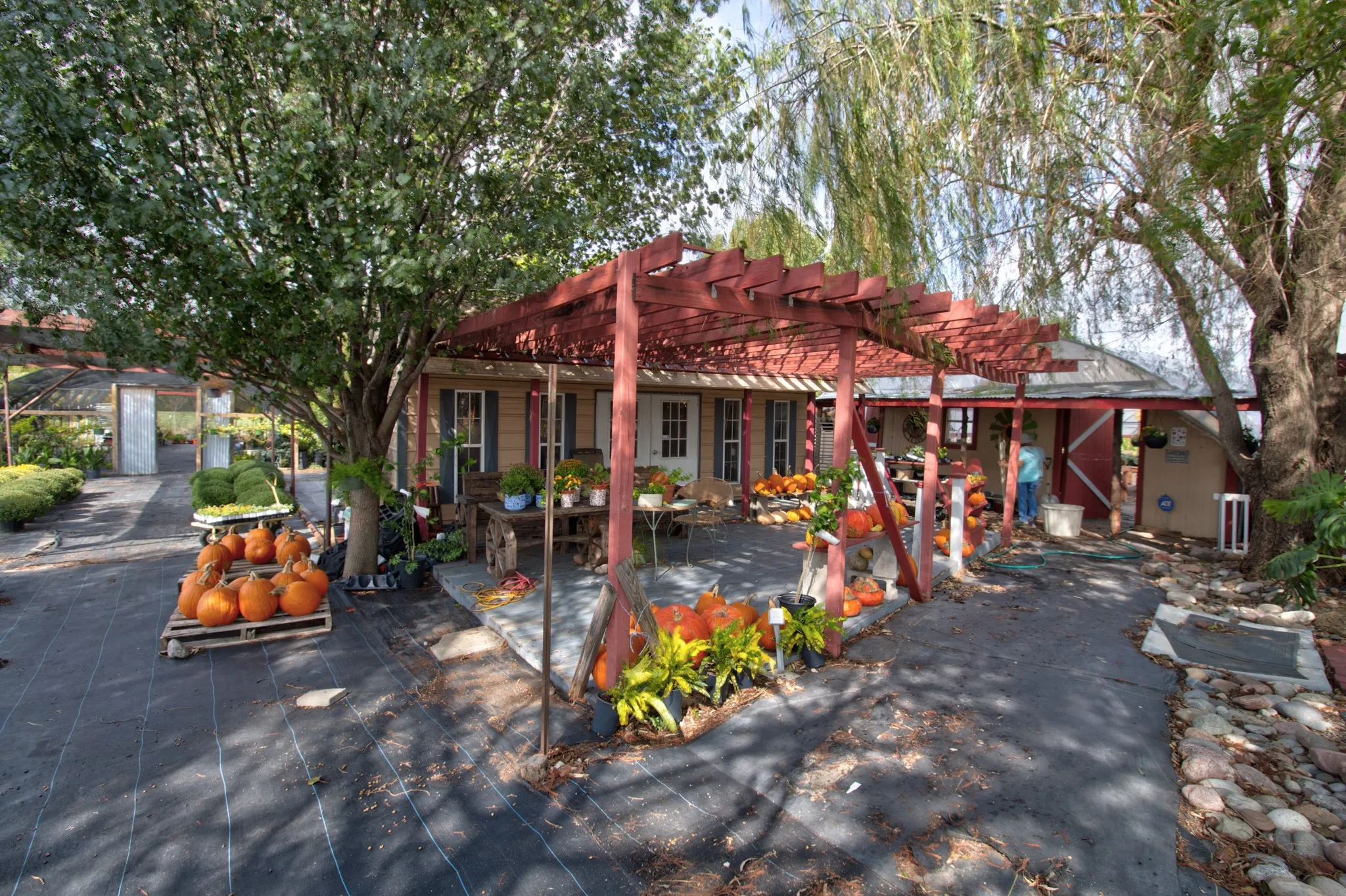 Outdoor area featuring a wood-beam pergola, paved patio space, and mature trees