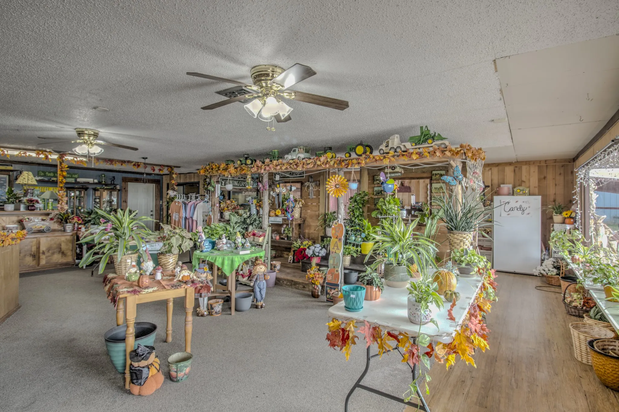 Spacious interior featuring wood-paneled wall accents, textured ceiling, dual ceiling fan fixtures, and a combination of carpet and wood-finish flooring