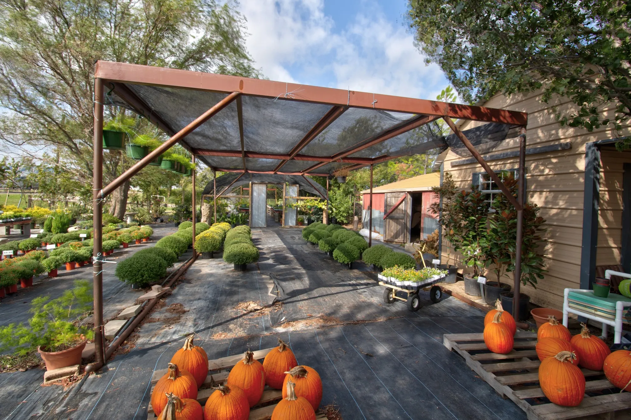 Metal-framed shade structure with protective mesh canopy and exterior grounds featuring leveled planting areas and a storage outbuilding