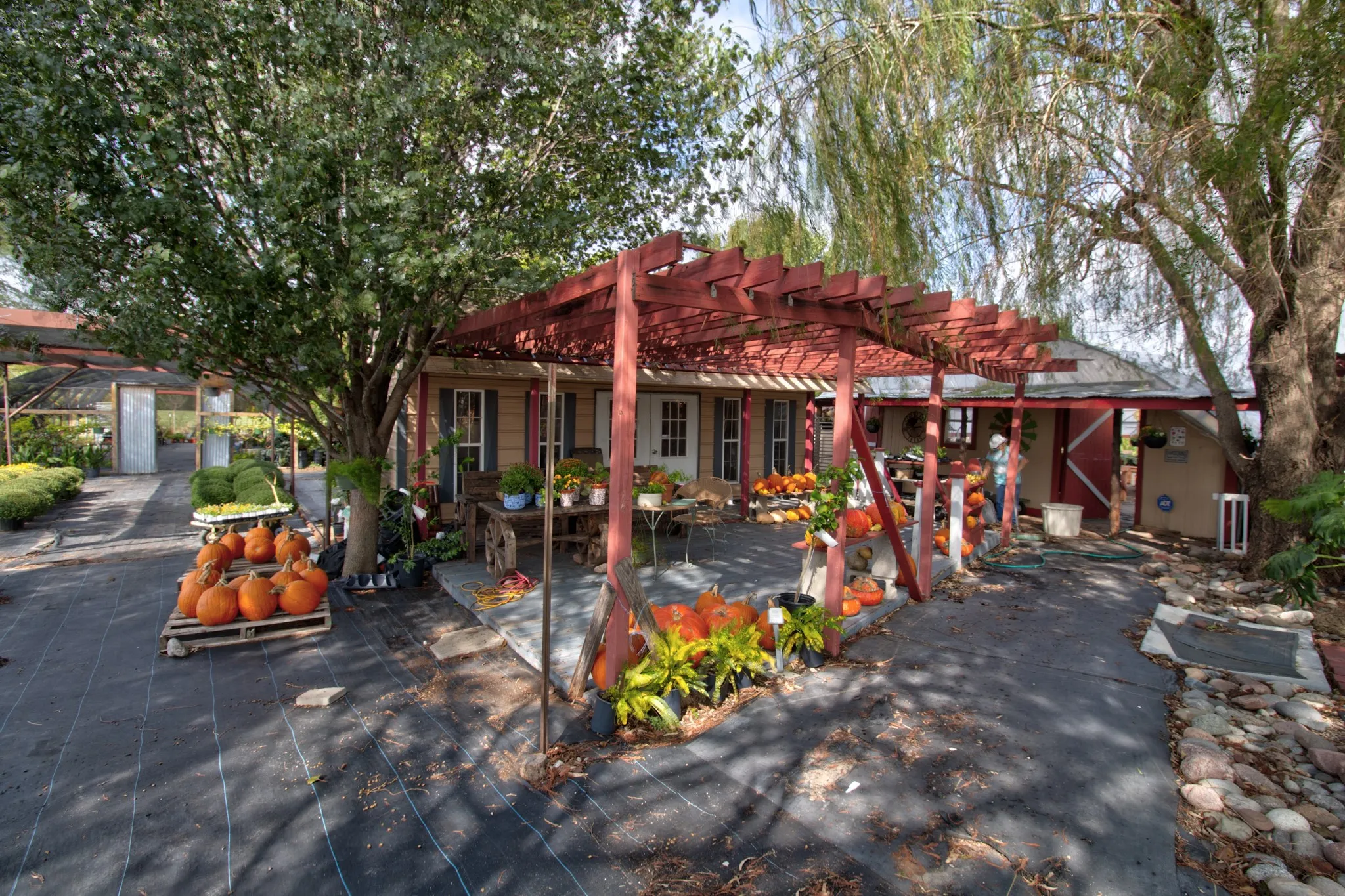 Exterior area featuring a wooden pergola, concrete patio, and mature trees