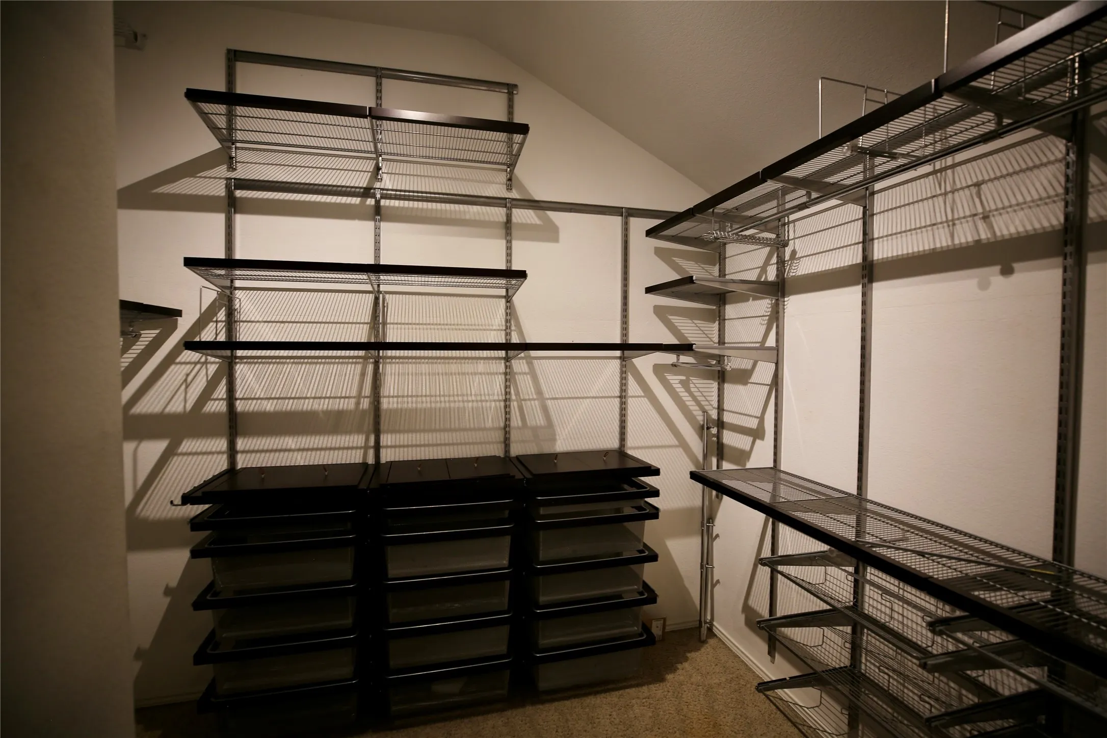 Primary closet with organizer
