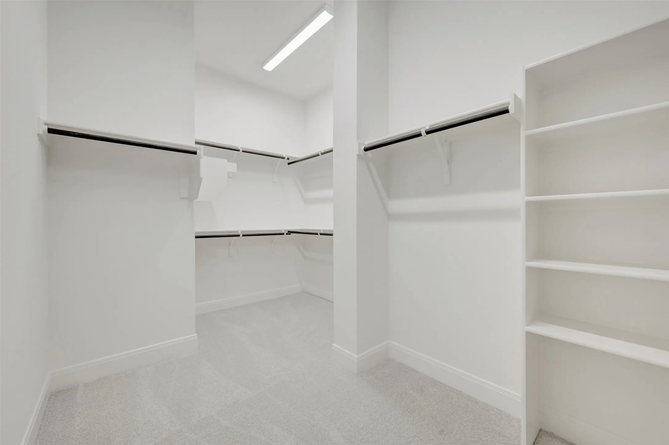 Walk-in closet featuring wall-to-wall carpeting, tiered hanging rods, and built-in shelving units