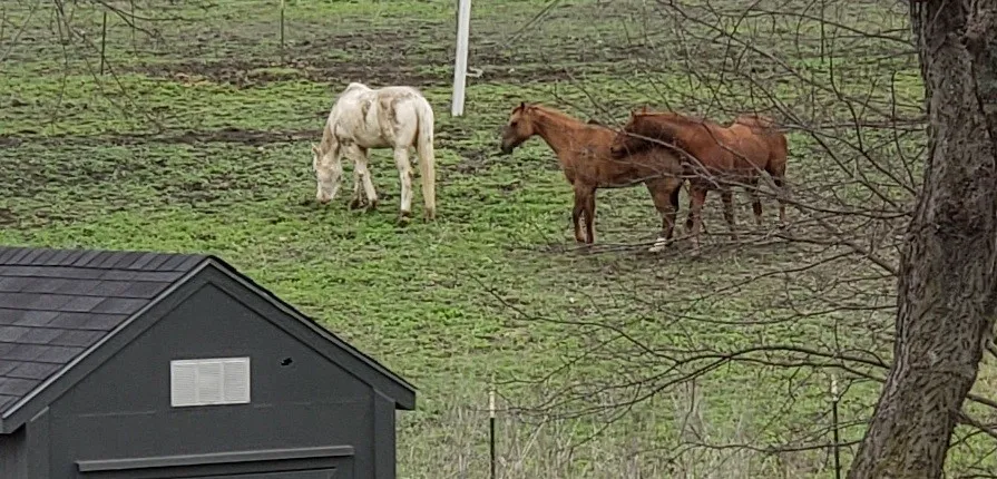 View of field behind home