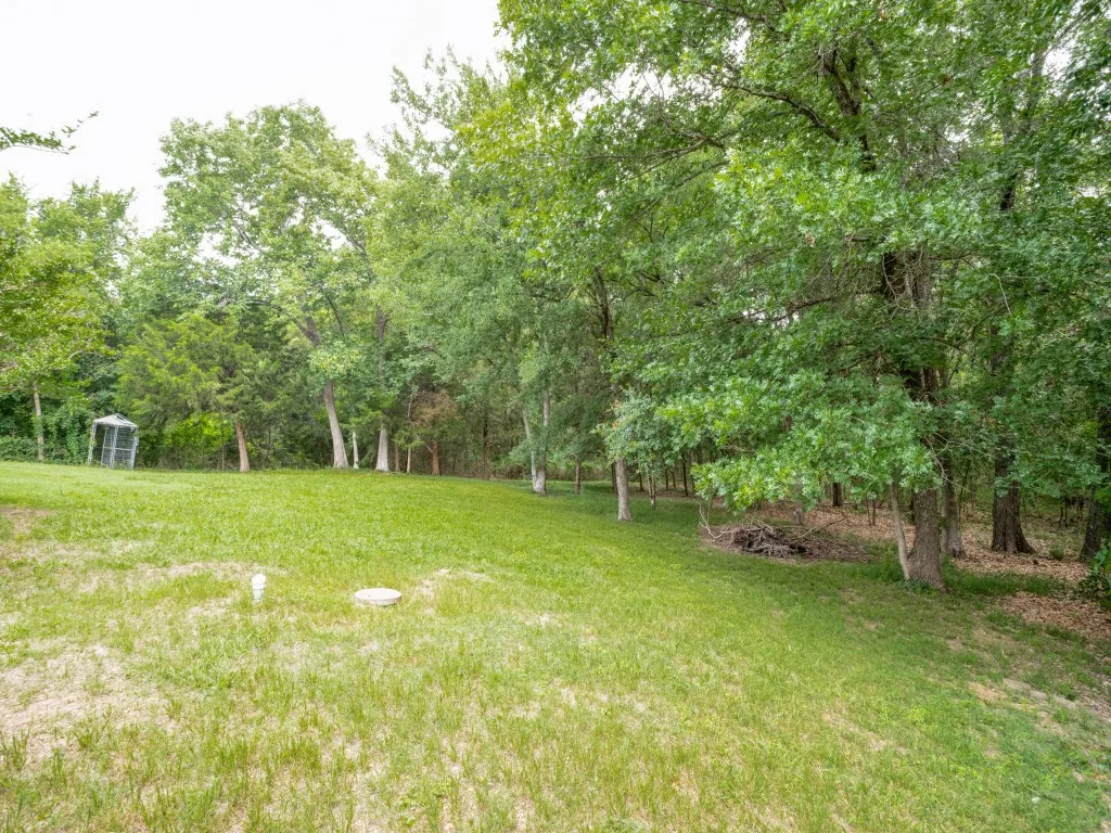 TREES and Open spaces