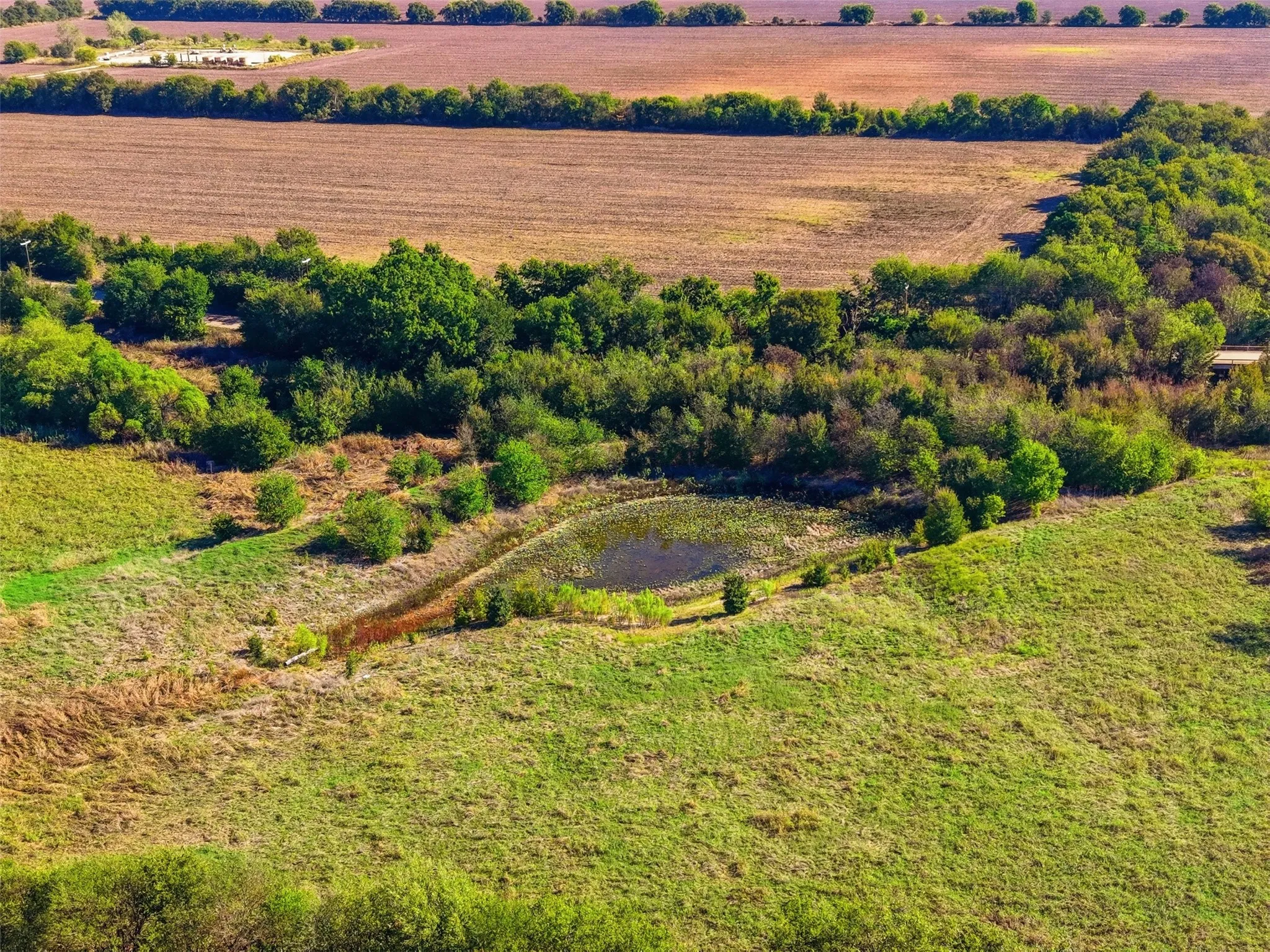 Unimproved Land For Sale in Johnson County , 529 County Road 1123, Cleburne, Texas 76033, 0, 0, Garage spaces, 0 Sqft, built in 0, mls#21411898, Real Estate Agent in Cleburne, Homes For Sale in Johnson county, Homes For Sale in Cleburne, Realtor in Cleburne Texas, Real Estate Brokerage Independent Realty Texas, Luminita Cordes Realtor