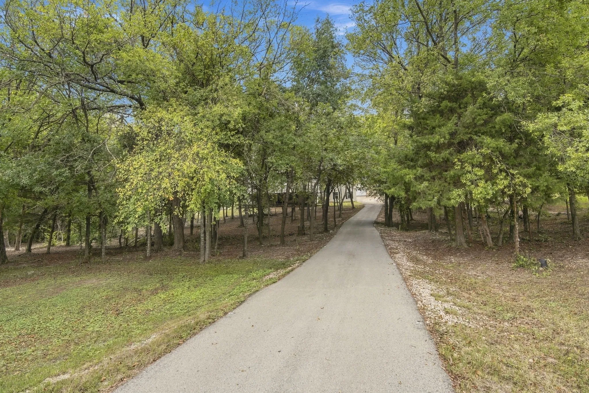 Driveway leading up to the property.