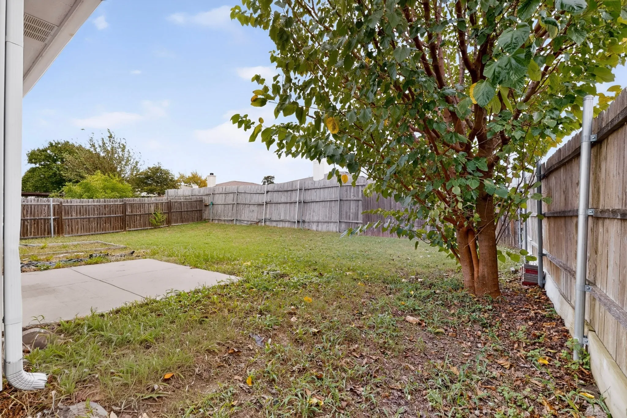 Backyard featuring a concrete patio, wood privacy fencing, and a mature tree