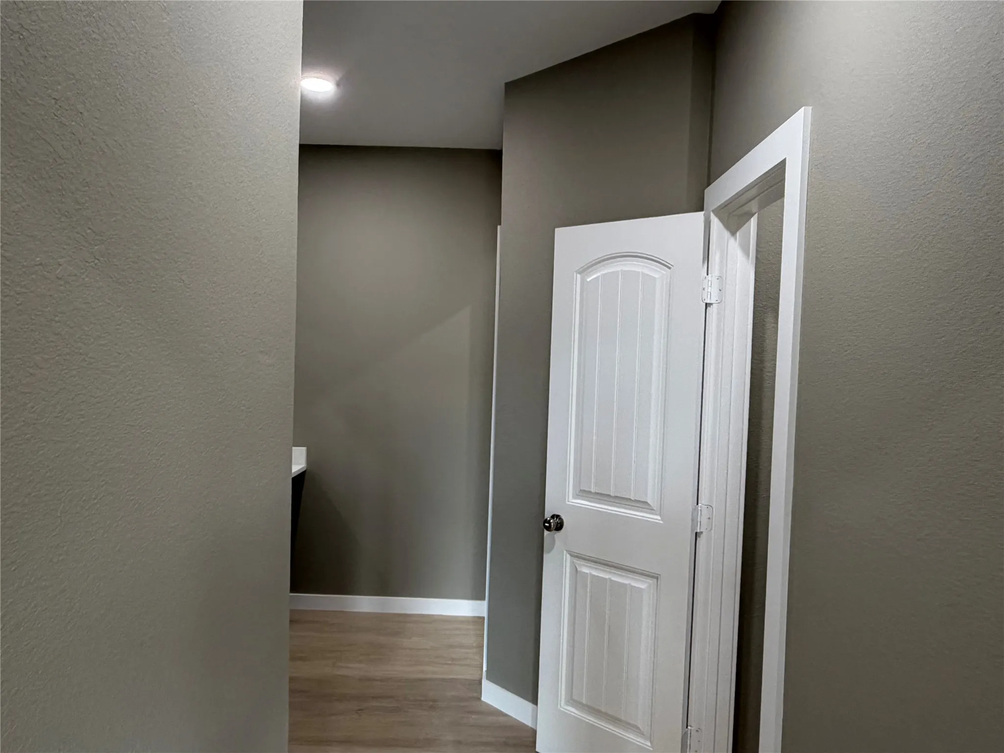 Primary Bath Neutral-toned interior walls, arched two-panel interior door with matte black hardware, and wood-finish flooring
