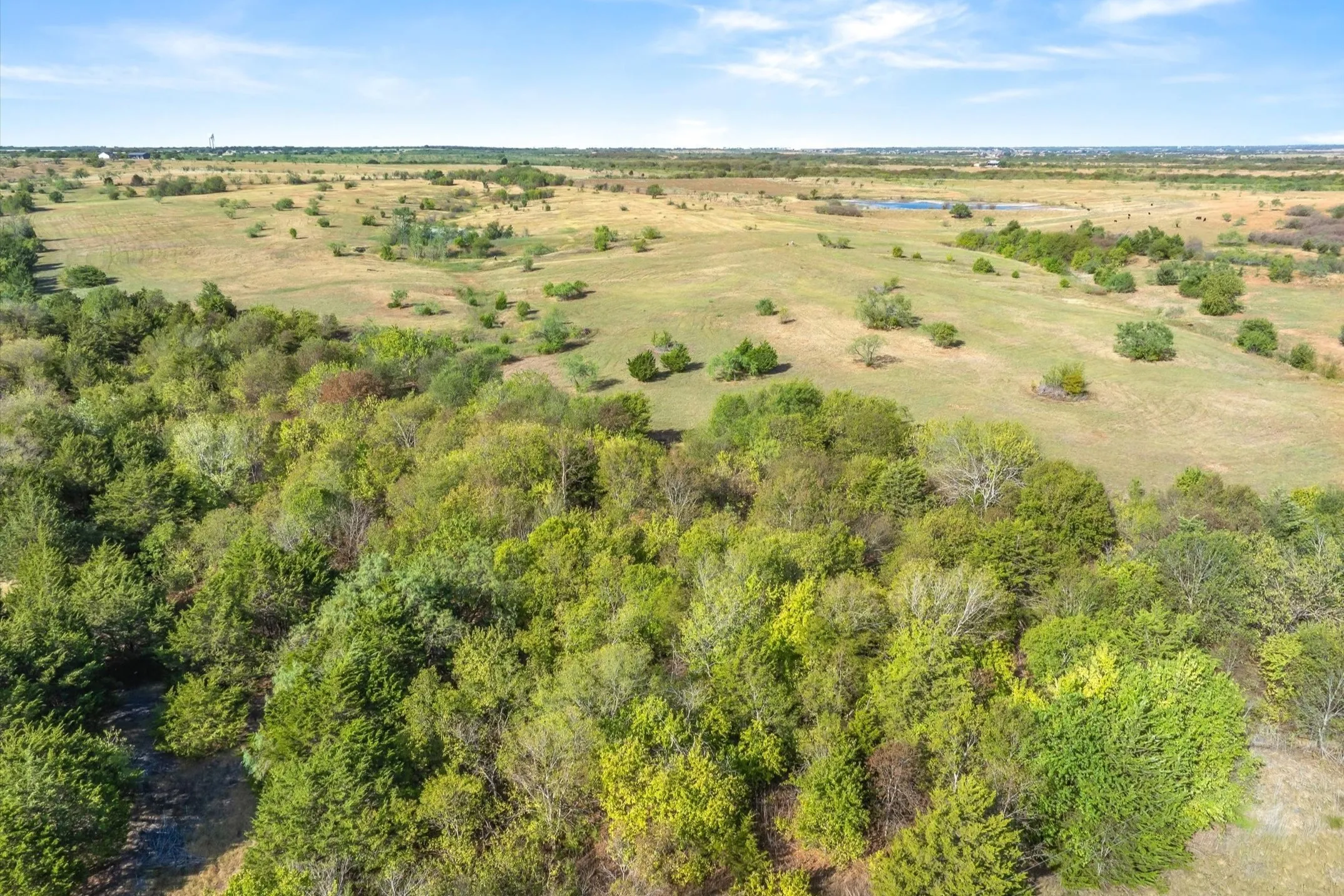 Unimproved Land For Sale in Ellis County , 3765 Fm 85, Ennis, Texas 75119, 0, 0, Garage spaces, 0 Sqft, built in 2014, mls#21389053, Real Estate Agent in Ennis, Homes For Sale in Ellis county, Homes For Sale in Ennis, Realtor in Ennis Texas, Real Estate Brokerage Independent Realty Texas, Luminita Cordes Realtor