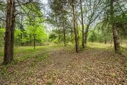 Wooded grounds featuring mature trees and a natural leaf-covered floor