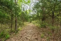 Wooded acreage featuring mature deciduous and evergreen trees and natural ground cover