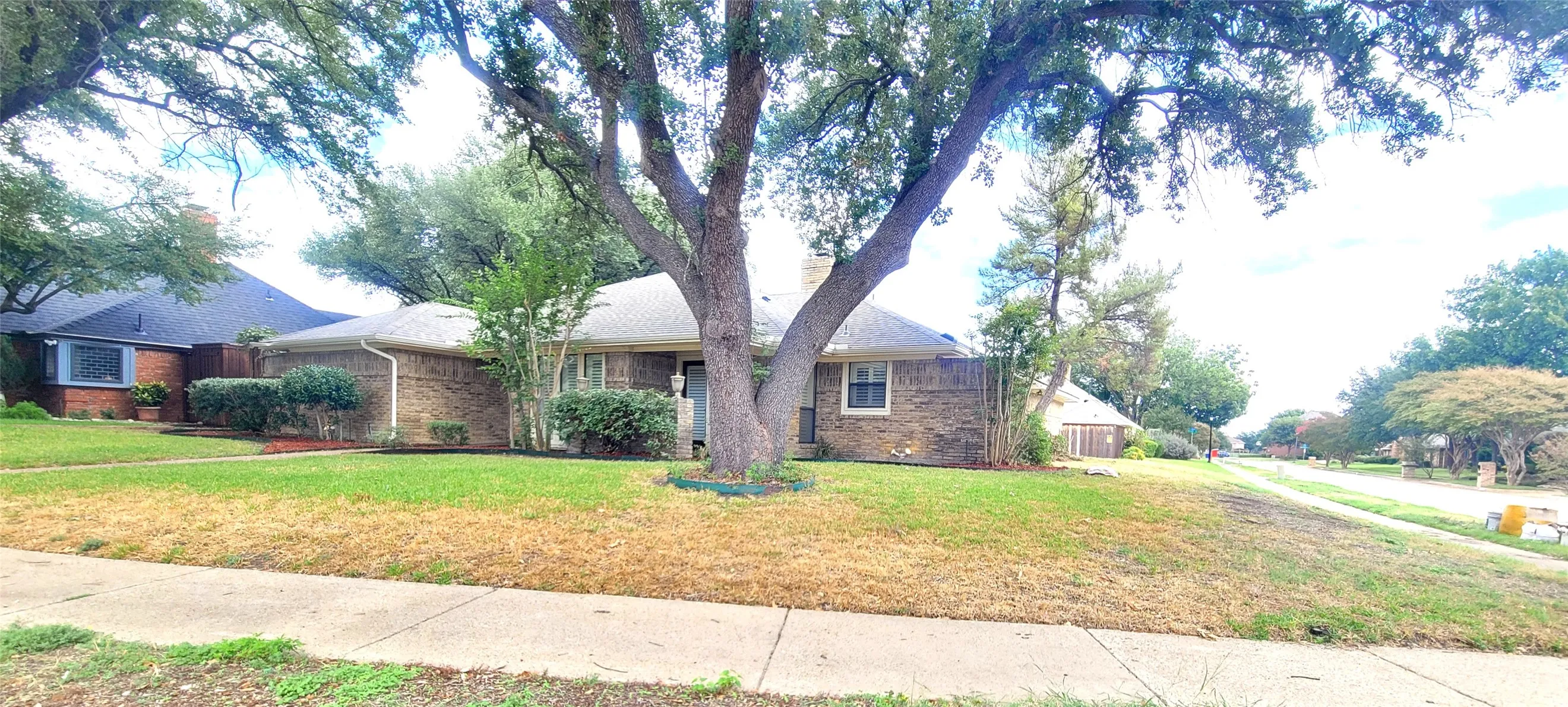 Single-story brick exterior featuring a prominent mature oak tree, gabled roofline, and landscaped shrubs