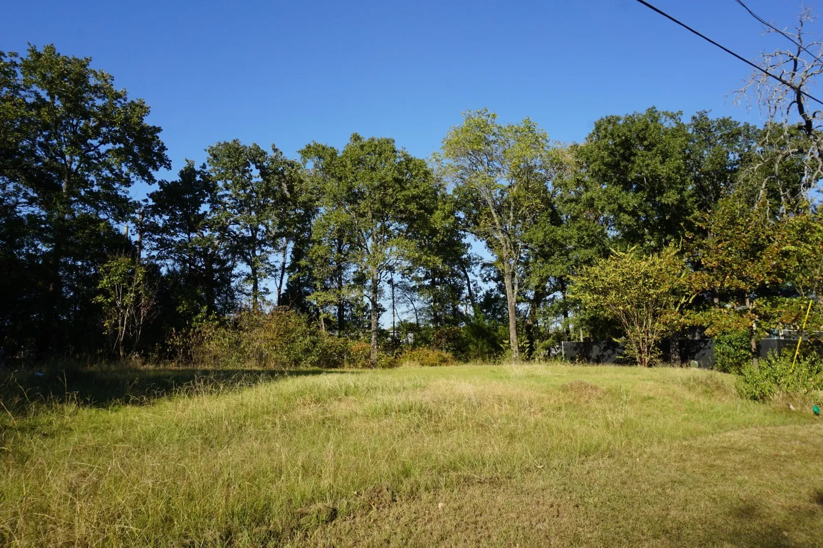 View of undeveloped land