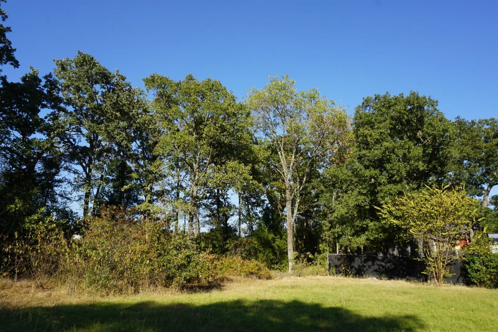 Improved Land For Sale in Henderson County , 1688 Doc Holiday Dr, Log Cabin, Texas 75148, 0, 0, Garage spaces, 0 Sqft, built in 0, mls#21412337, Real Estate Agent in Log Cabin, Homes For Sale in Henderson county, Homes For Sale in Log Cabin, Realtor in Log Cabin Texas, Real Estate Brokerage Independent Realty Texas, Luminita Cordes Realtor
