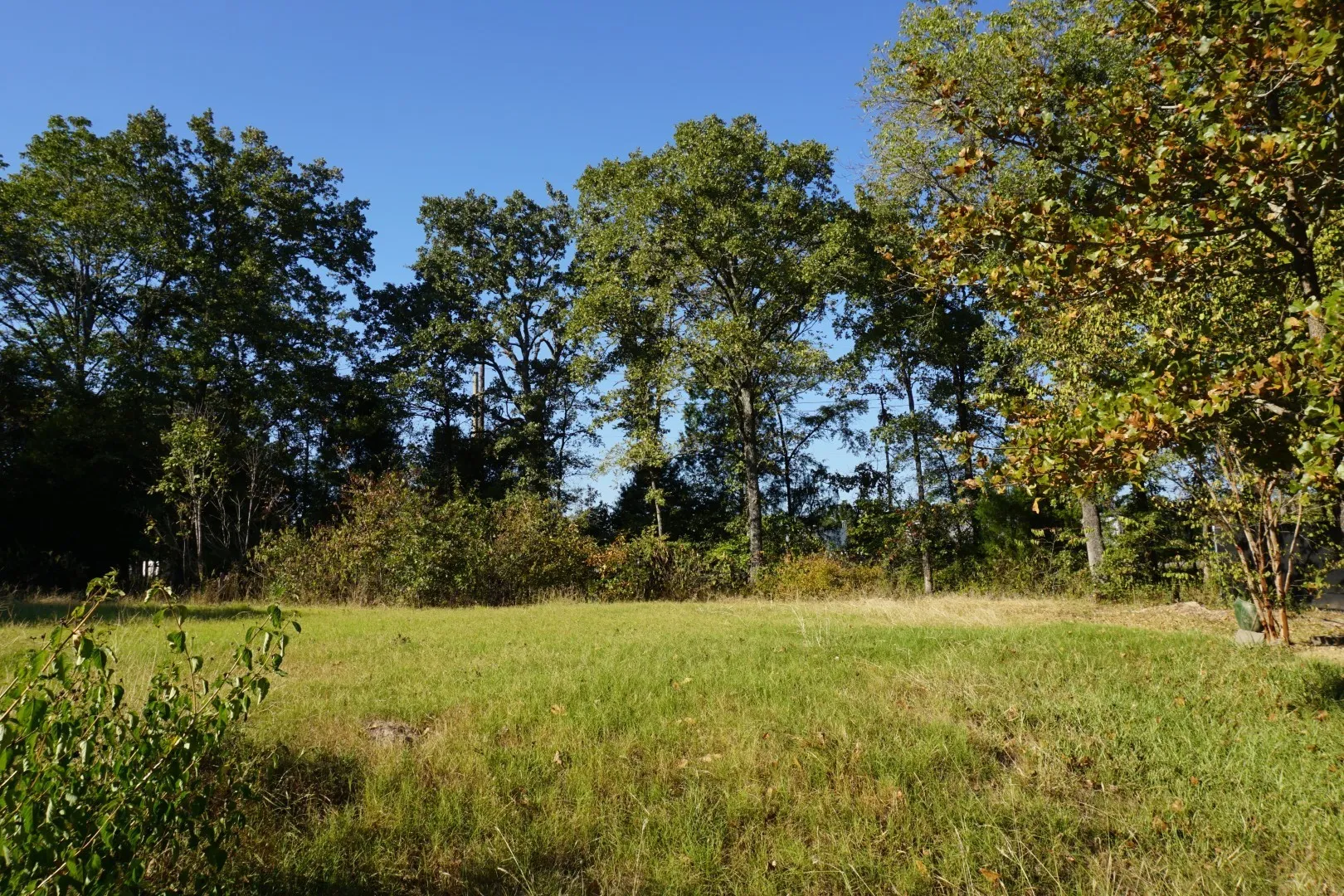 View of nature