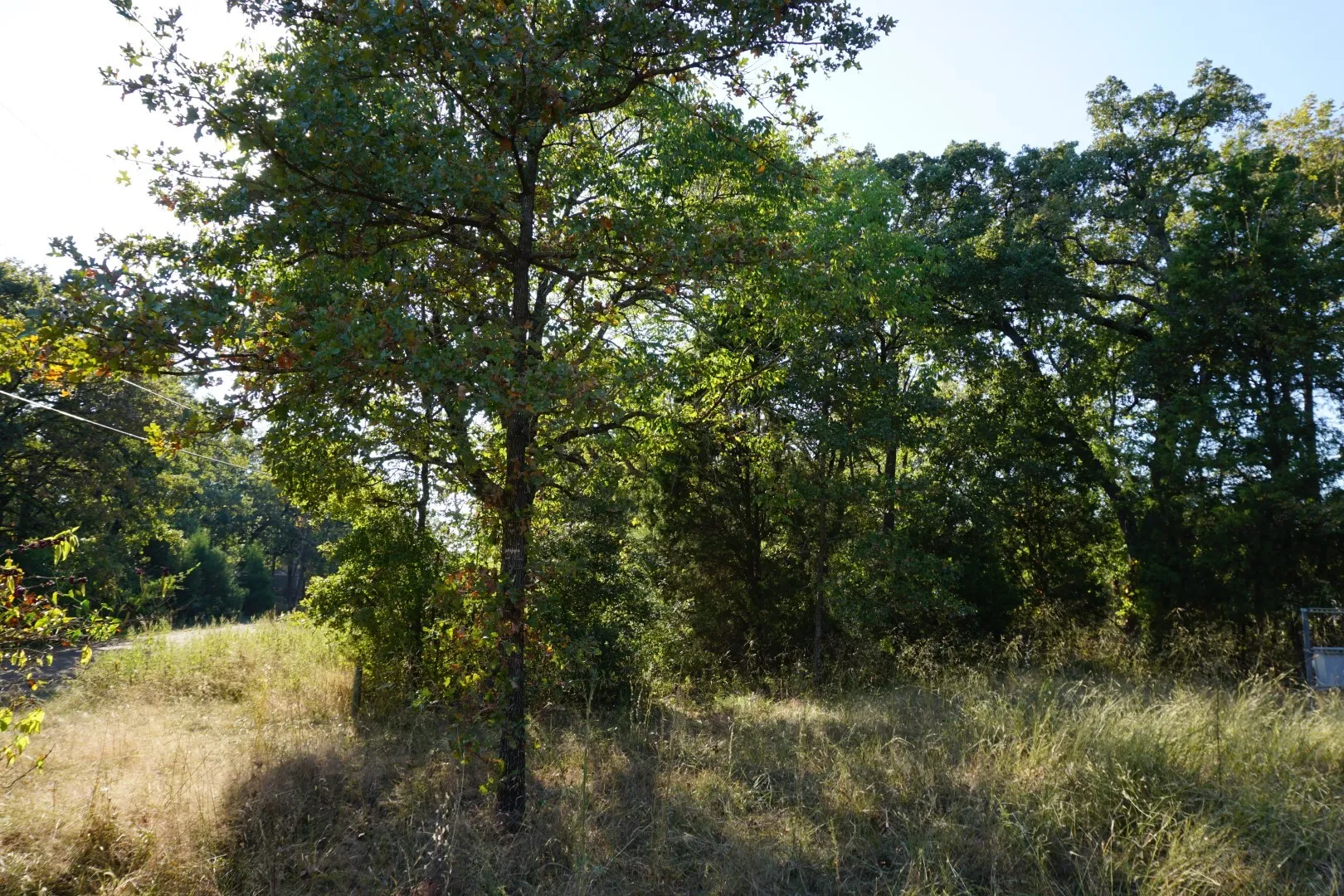 View of wooded area