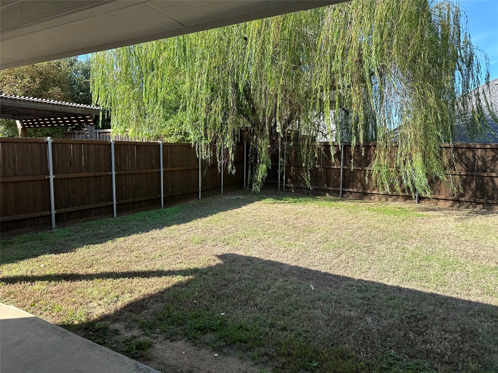 Backyard featuring a concrete patio, perimeter wood fencing, and a mature willow tree