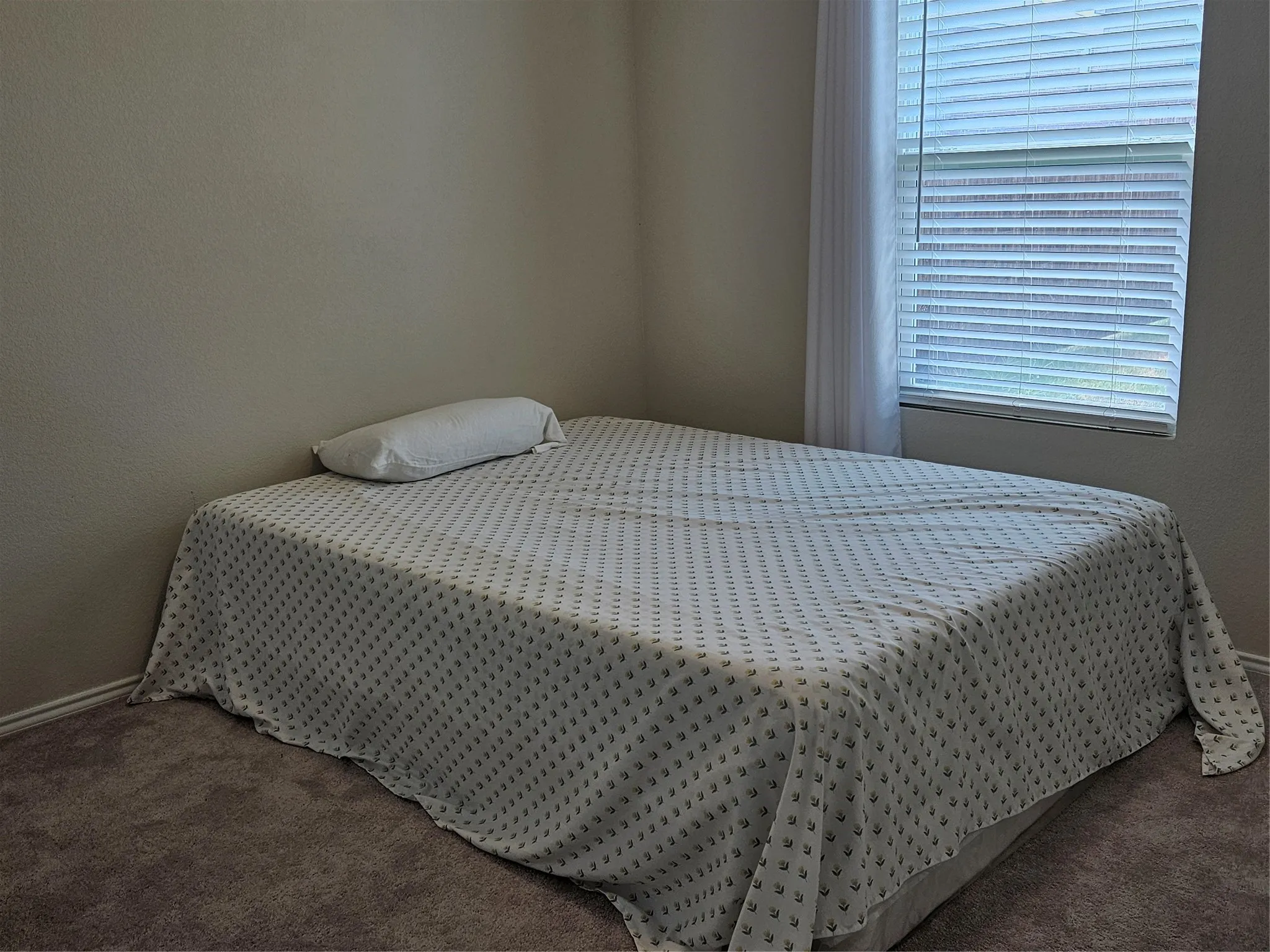 Neutral-toned wall paint, plush carpeting, and a window fitted with horizontal blinds