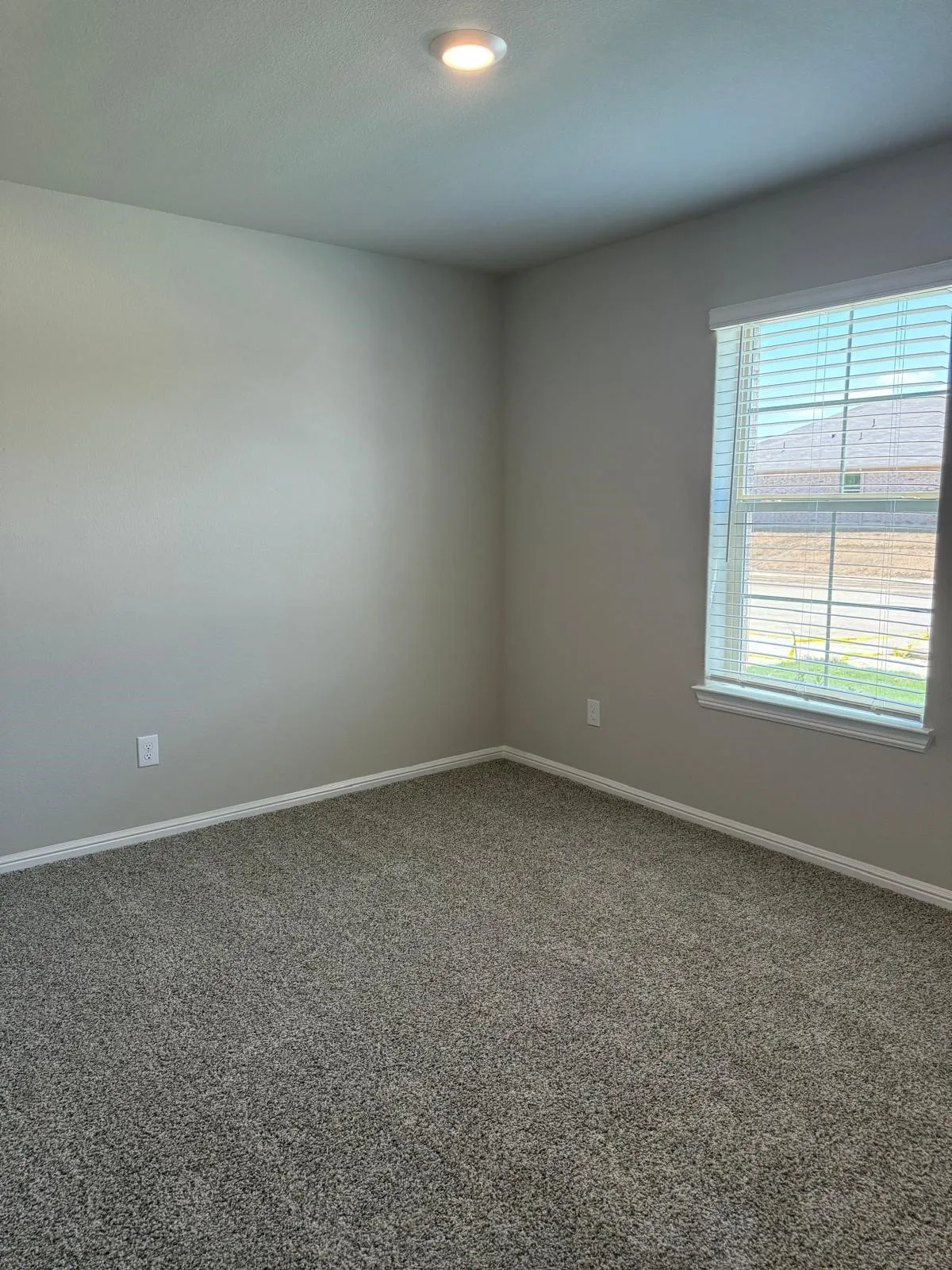 Neutral-toned interior room featuring wall-to-wall carpeting, a single-pane window with horizontal blinds, and a flush-mount ceiling light fixture