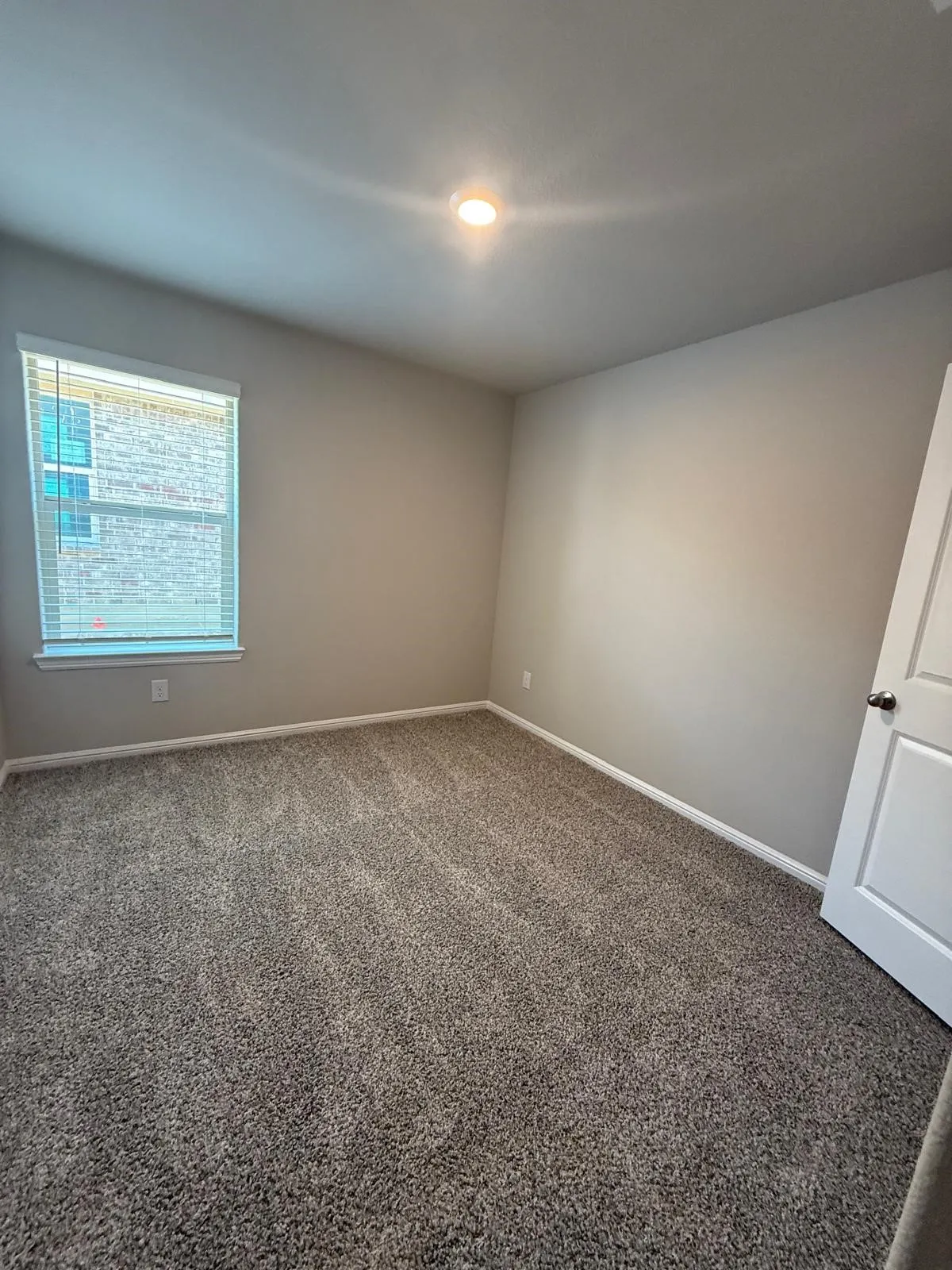Neutral wall tones, carpeted flooring, single-panel interior door, and a multi-pane window