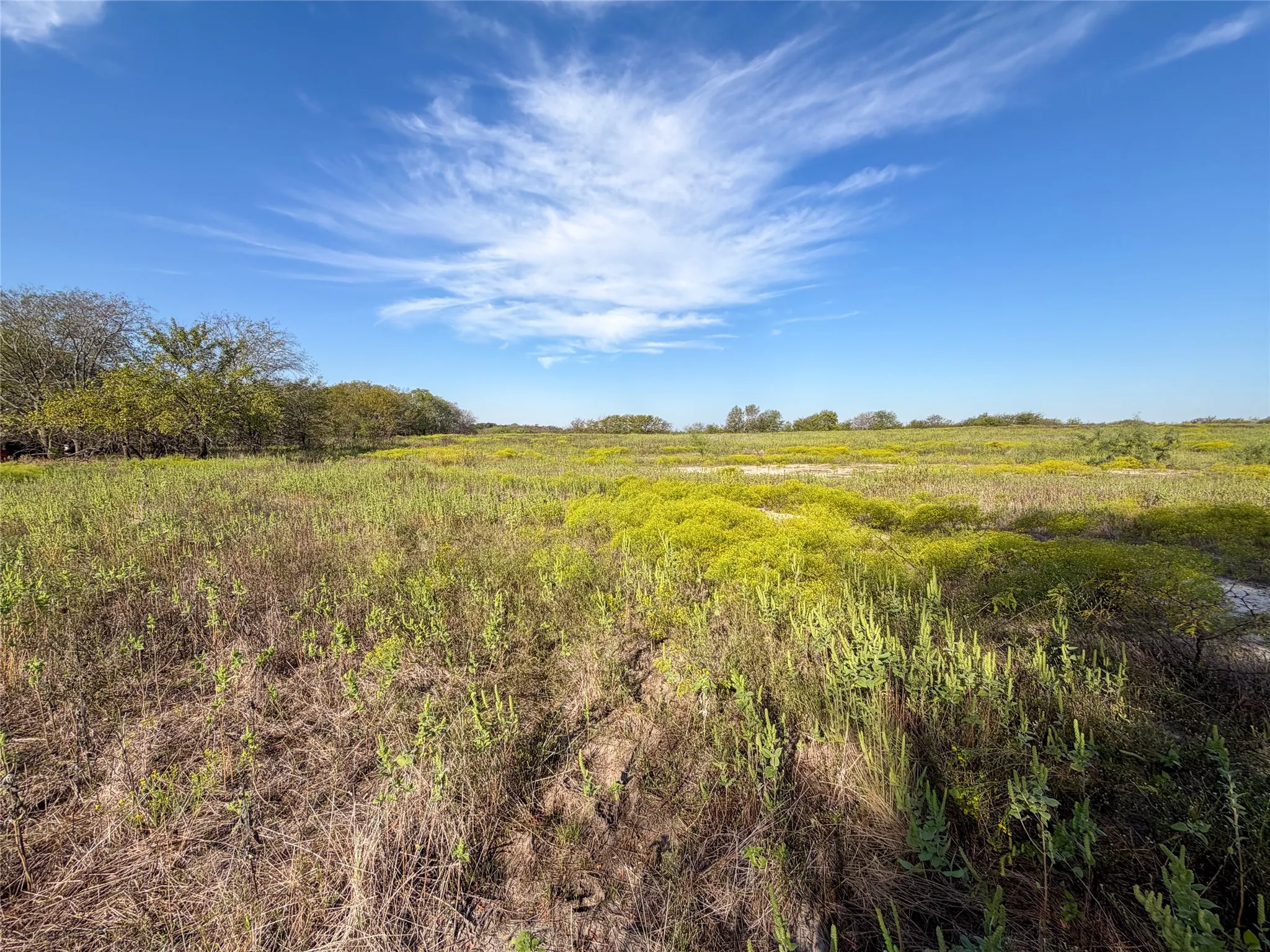 Unimproved Land For Sale in Grayson County , TBD HAZELWOOD Tract 2, Sherman, Texas 75092, 0, 0, Garage spaces, 0 Sqft, built in 0, mls#21412552, Real Estate Agent in Sherman, Homes For Sale in Grayson county, Homes For Sale in Sherman, Realtor in Sherman Texas, Real Estate Brokerage Independent Realty Texas, Luminita Cordes Realtor