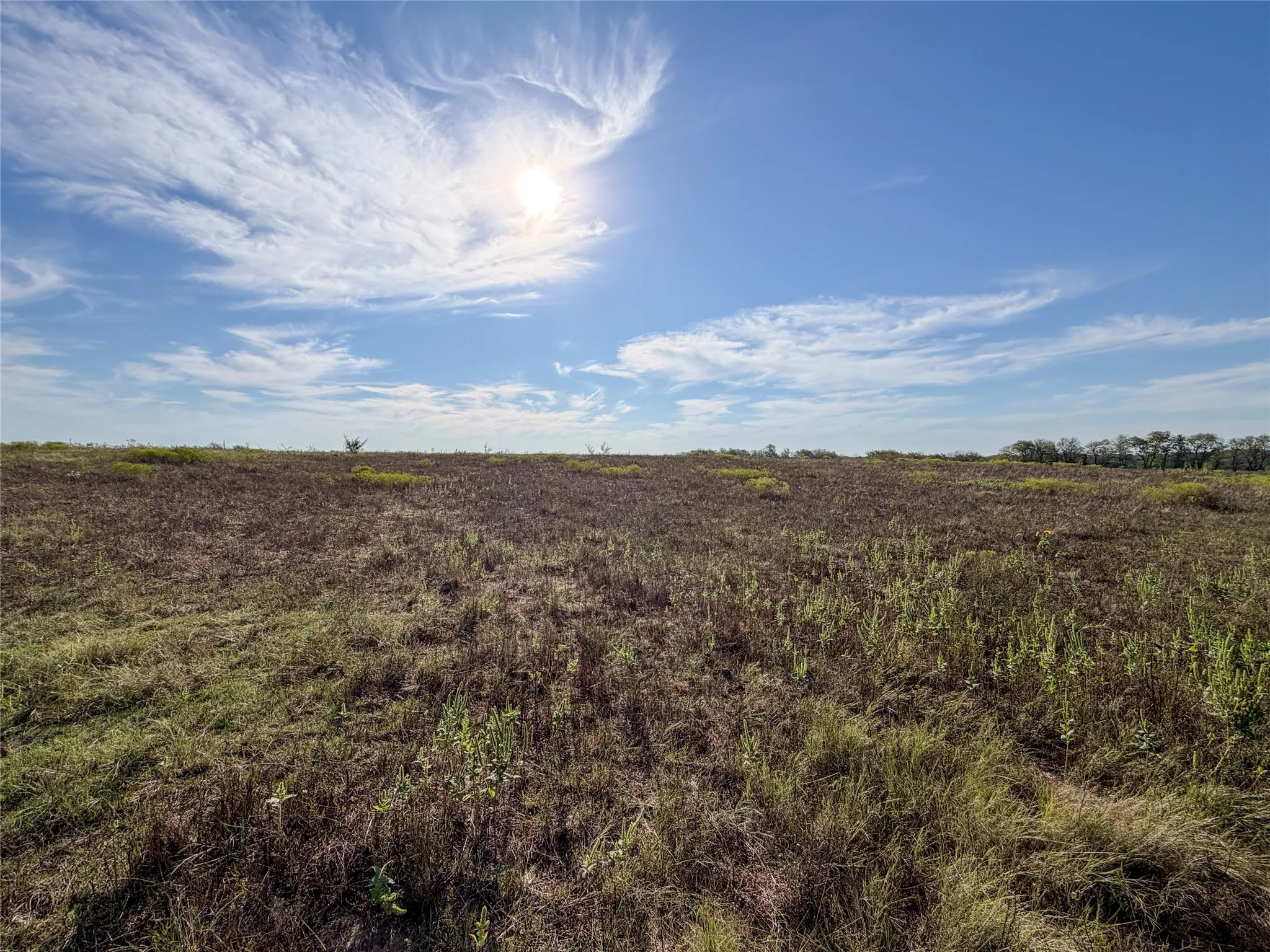 Unimproved Land For Sale in Grayson County , TBD HAZELWOOD Tract 2, Sherman, Texas 75092, 0, 0, Garage spaces, 0 Sqft, built in 0, mls#21412552, Real Estate Agent in Sherman, Homes For Sale in Grayson county, Homes For Sale in Sherman, Realtor in Sherman Texas, Real Estate Brokerage Independent Realty Texas, Luminita Cordes Realtor