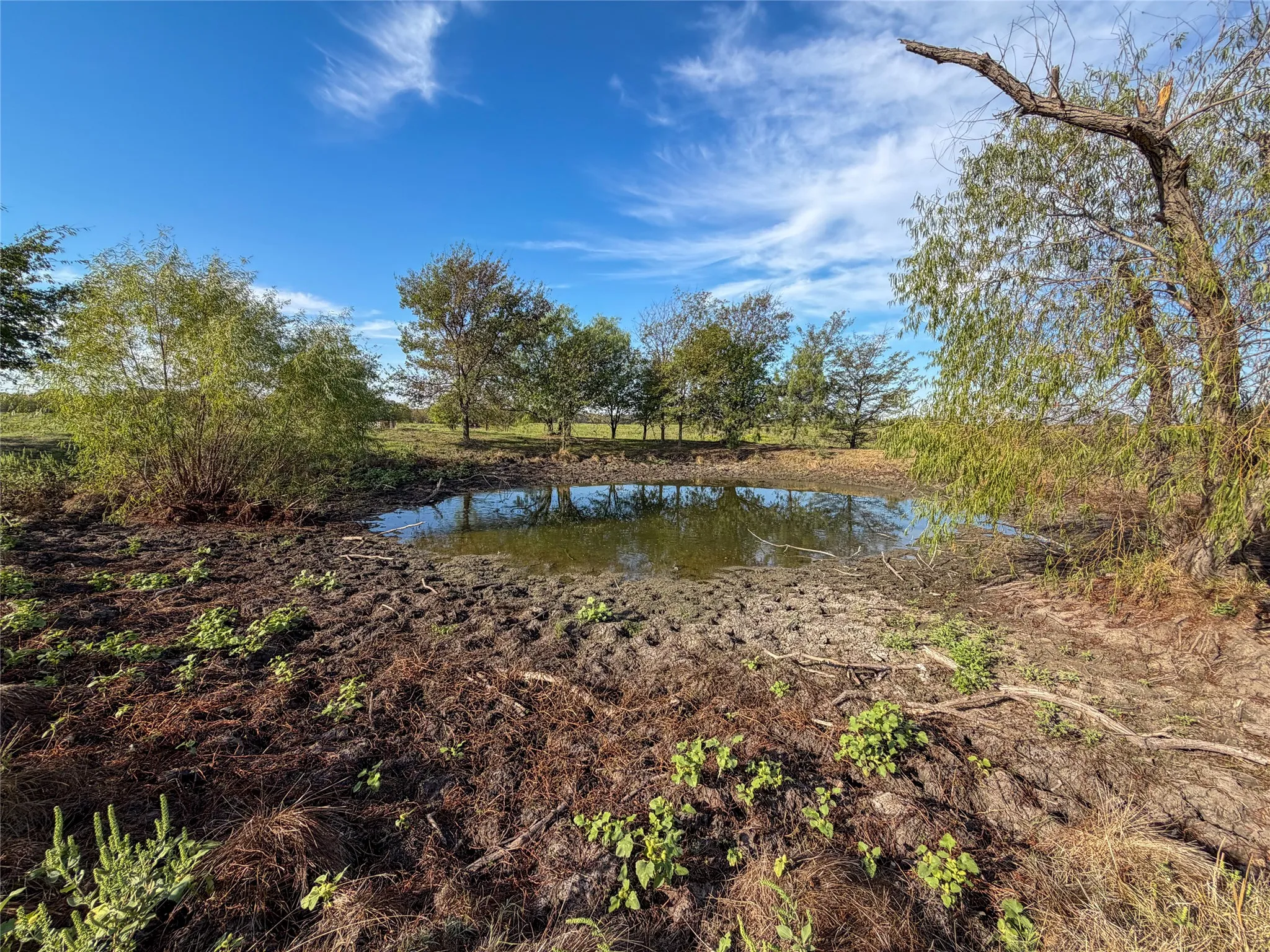 Unimproved Land For Sale in Grayson County , TBD HAZELWOOD Tract 2, Sherman, Texas 75092, 0, 0, Garage spaces, 0 Sqft, built in 0, mls#21412552, Real Estate Agent in Sherman, Homes For Sale in Grayson county, Homes For Sale in Sherman, Realtor in Sherman Texas, Real Estate Brokerage Independent Realty Texas, Luminita Cordes Realtor