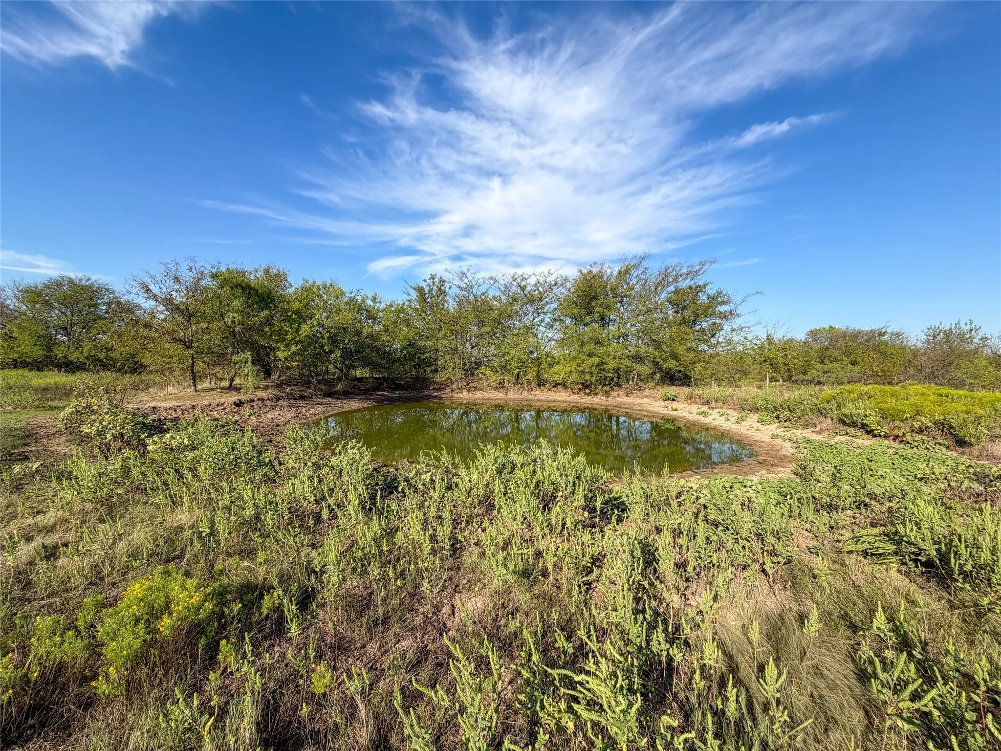 Unimproved Land For Sale in Grayson County , TBD HAZELWOOD Tract 2, Sherman, Texas 75092, 0, 0, Garage spaces, 0 Sqft, built in 0, mls#21412552, Real Estate Agent in Sherman, Homes For Sale in Grayson county, Homes For Sale in Sherman, Realtor in Sherman Texas, Real Estate Brokerage Independent Realty Texas, Luminita Cordes Realtor