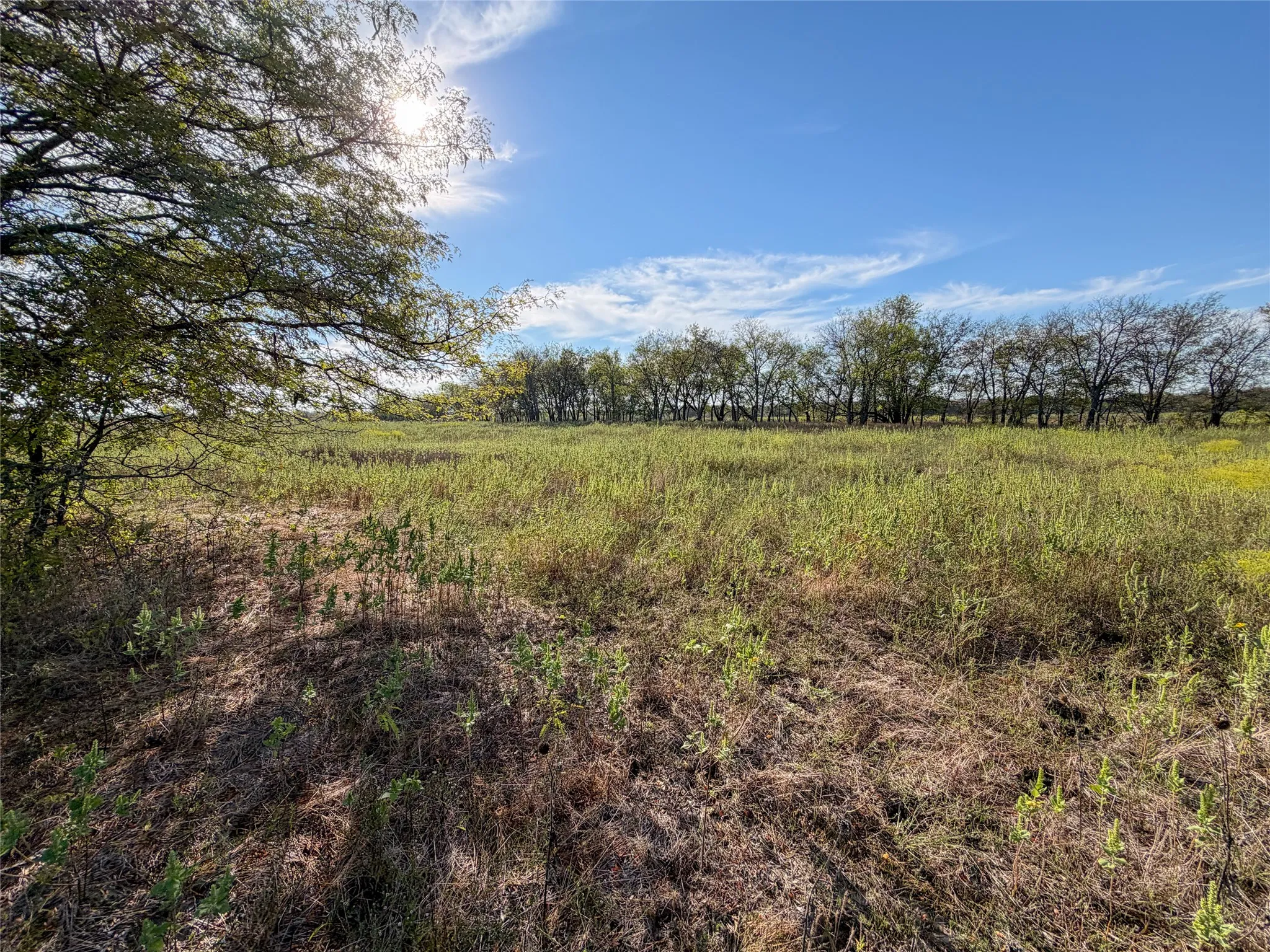 Unimproved Land For Sale in Grayson County , TBD HAZELWOOD Tract 2, Sherman, Texas 75092, 0, 0, Garage spaces, 0 Sqft, built in 0, mls#21412552, Real Estate Agent in Sherman, Homes For Sale in Grayson county, Homes For Sale in Sherman, Realtor in Sherman Texas, Real Estate Brokerage Independent Realty Texas, Luminita Cordes Realtor
