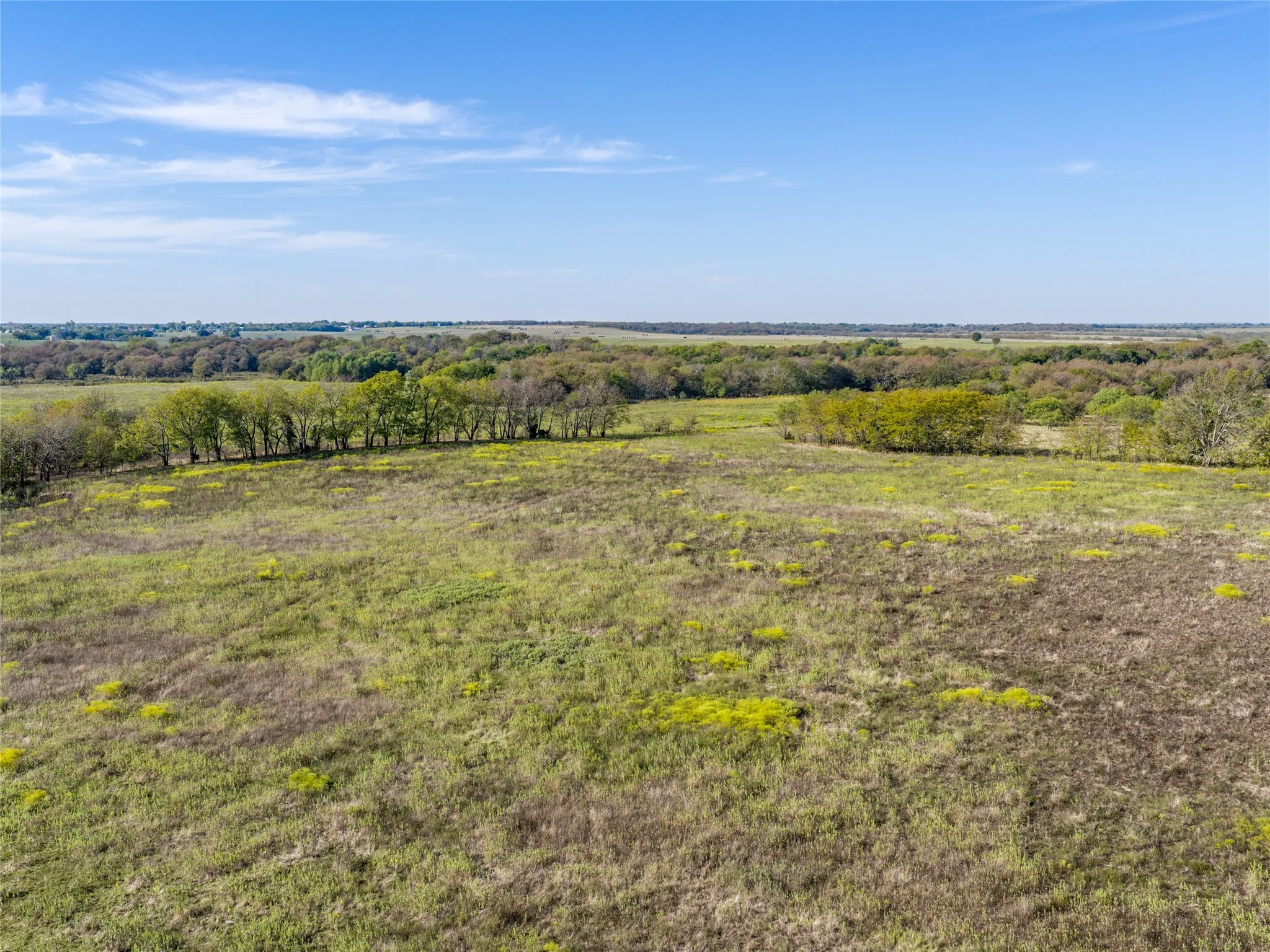 Unimproved Land For Sale in Grayson County , TBD HAZELWOOD Tract 2, Sherman, Texas 75092, 0, 0, Garage spaces, 0 Sqft, built in 0, mls#21412552, Real Estate Agent in Sherman, Homes For Sale in Grayson county, Homes For Sale in Sherman, Realtor in Sherman Texas, Real Estate Brokerage Independent Realty Texas, Luminita Cordes Realtor