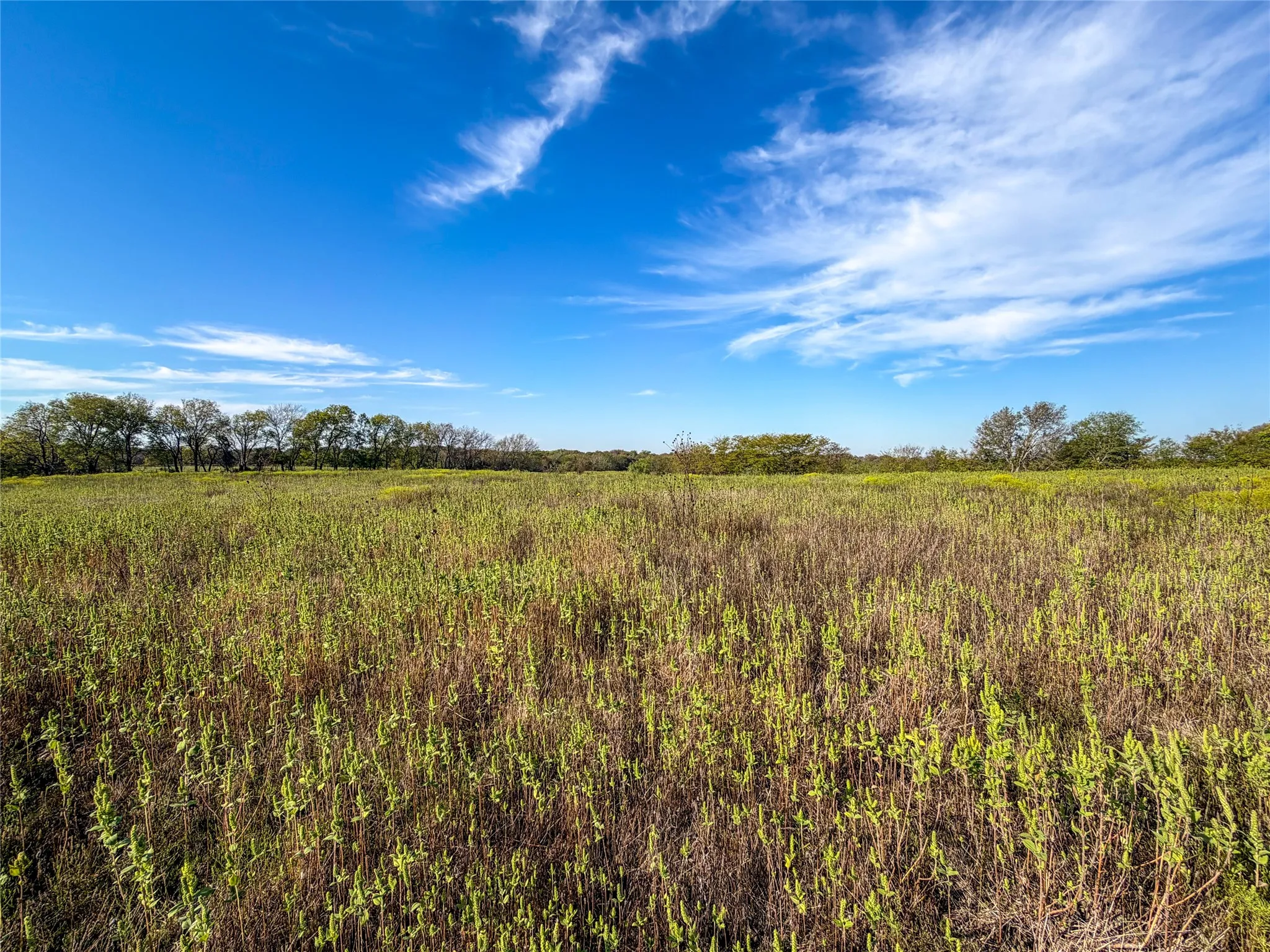 Unimproved Land For Sale in Grayson County , TBD HAZELWOOD Tract 2, Sherman, Texas 75092, 0, 0, Garage spaces, 0 Sqft, built in 0, mls#21412552, Real Estate Agent in Sherman, Homes For Sale in Grayson county, Homes For Sale in Sherman, Realtor in Sherman Texas, Real Estate Brokerage Independent Realty Texas, Luminita Cordes Realtor