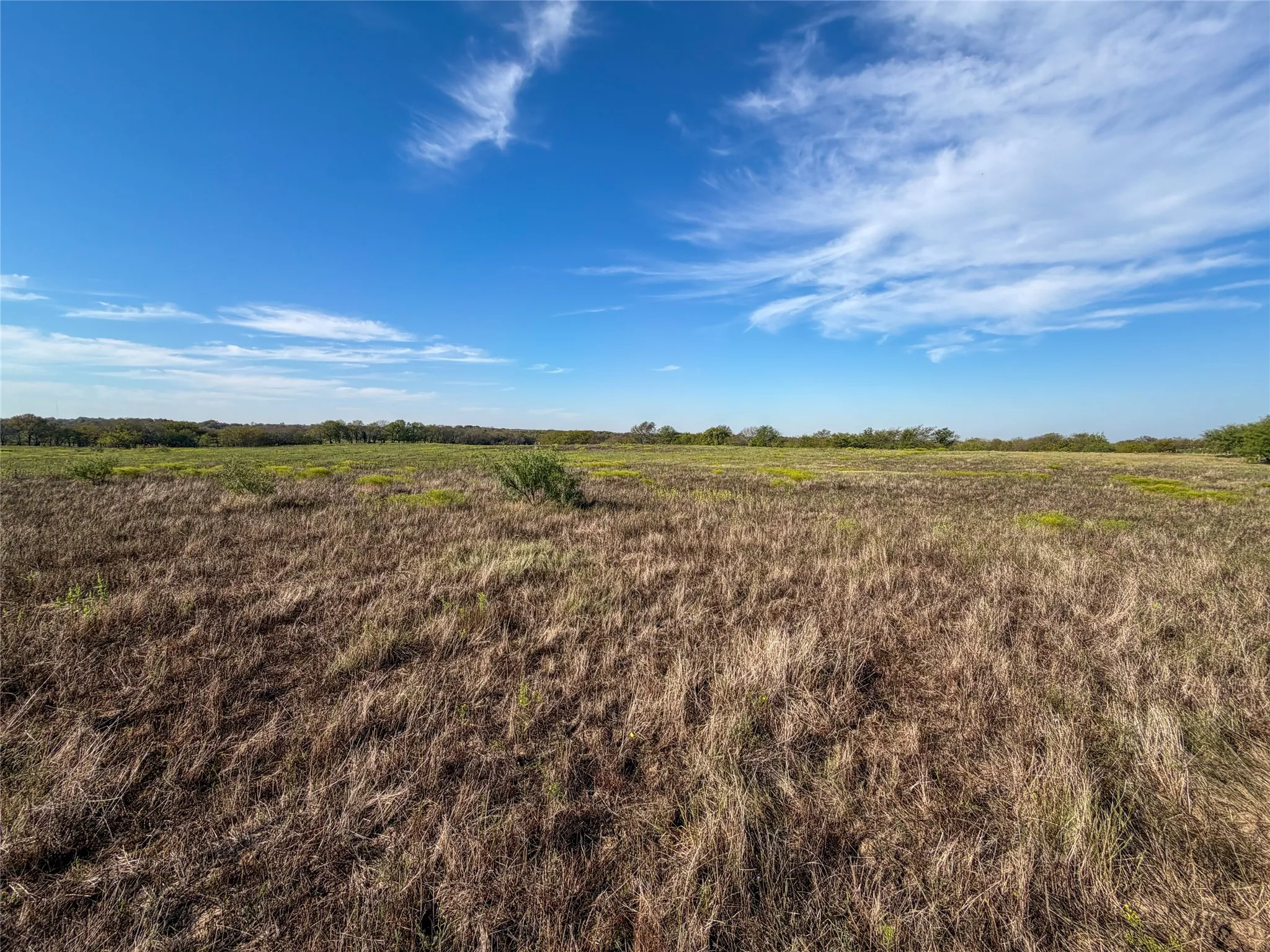 Unimproved Land For Sale in Grayson County , TBD HAZELWOOD Tract 2, Sherman, Texas 75092, 0, 0, Garage spaces, 0 Sqft, built in 0, mls#21412552, Real Estate Agent in Sherman, Homes For Sale in Grayson county, Homes For Sale in Sherman, Realtor in Sherman Texas, Real Estate Brokerage Independent Realty Texas, Luminita Cordes Realtor