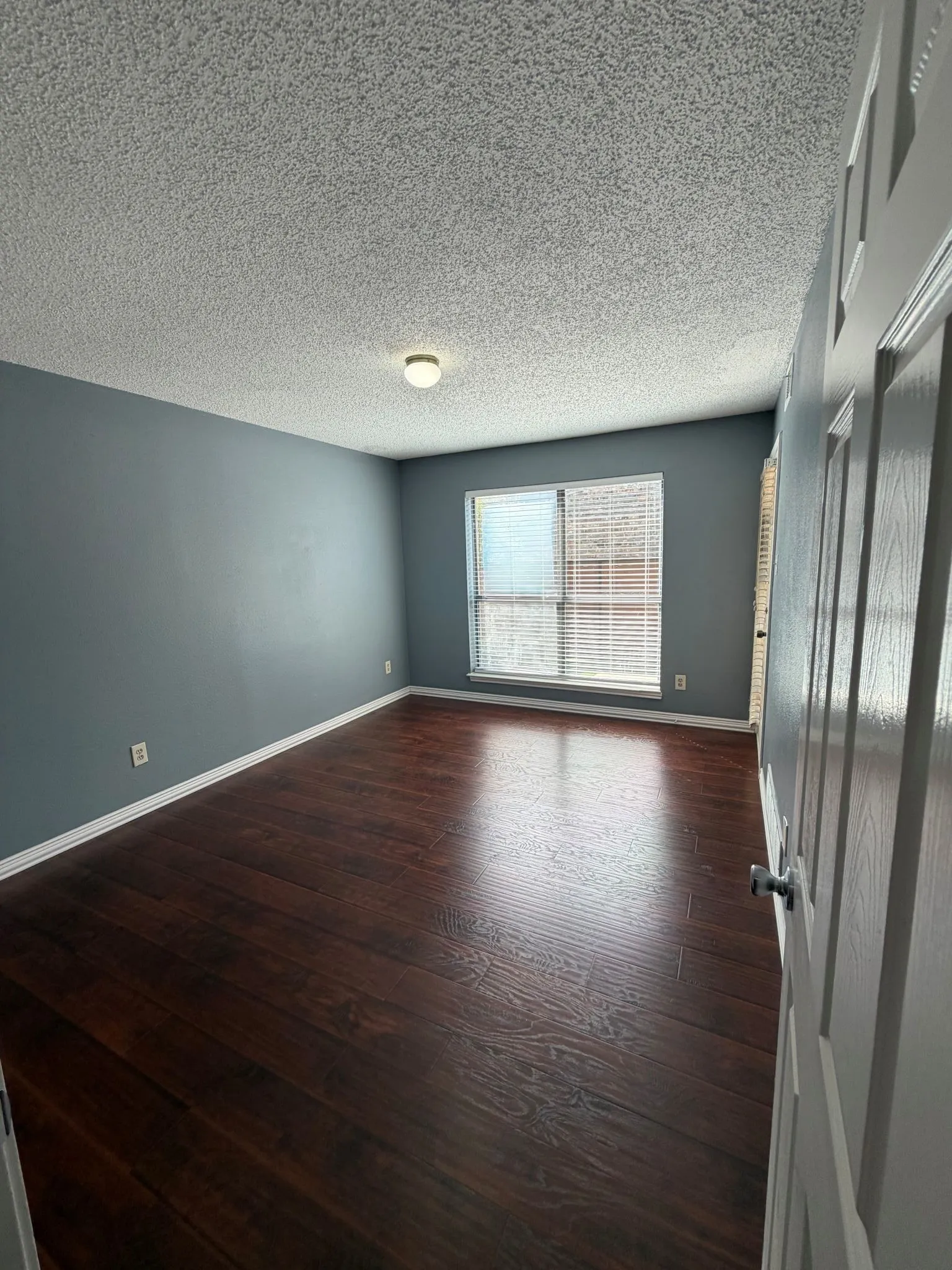 Interior room featuring wood-finish flooring, blue-toned walls, a textured ceiling, and a large window with fitted blinds