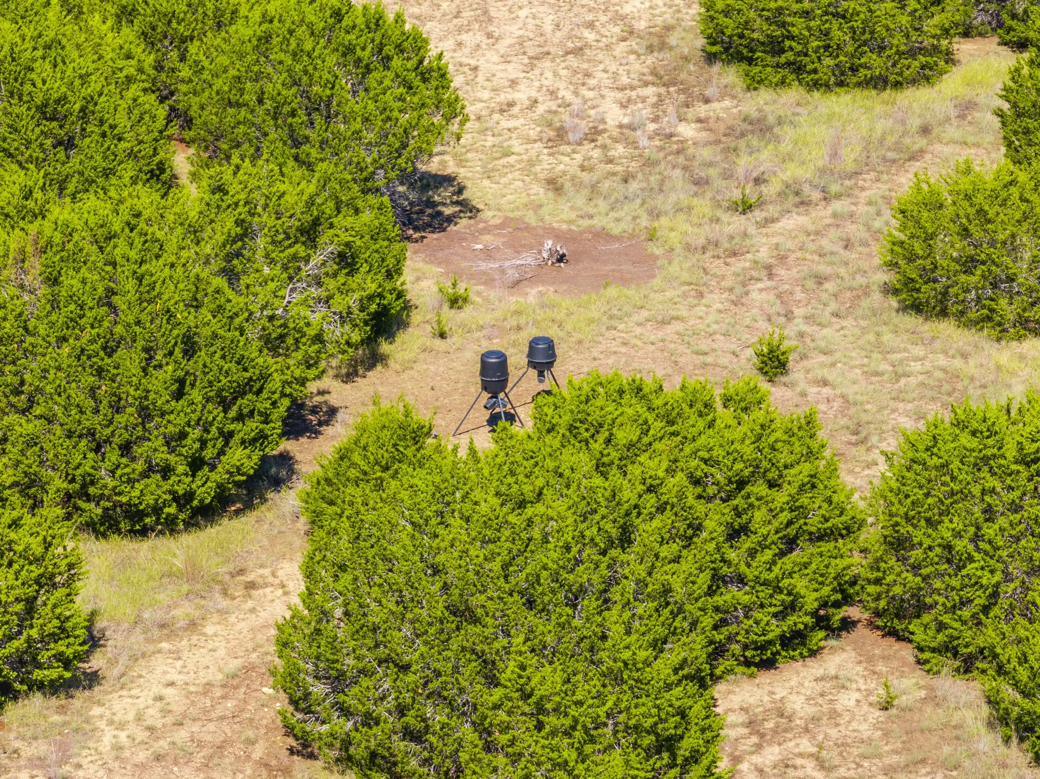 Unimproved Land For Sale in Coryell County , 2575 W County Road 154, Gatesville, Texas 76528, 0, 0, Garage spaces, 0 Sqft, built in 0, mls#21412503, Real Estate Agent in Gatesville, Homes For Sale in Coryell county, Homes For Sale in Gatesville, Realtor in Gatesville Texas, Real Estate Brokerage Independent Realty Texas, Luminita Cordes Realtor