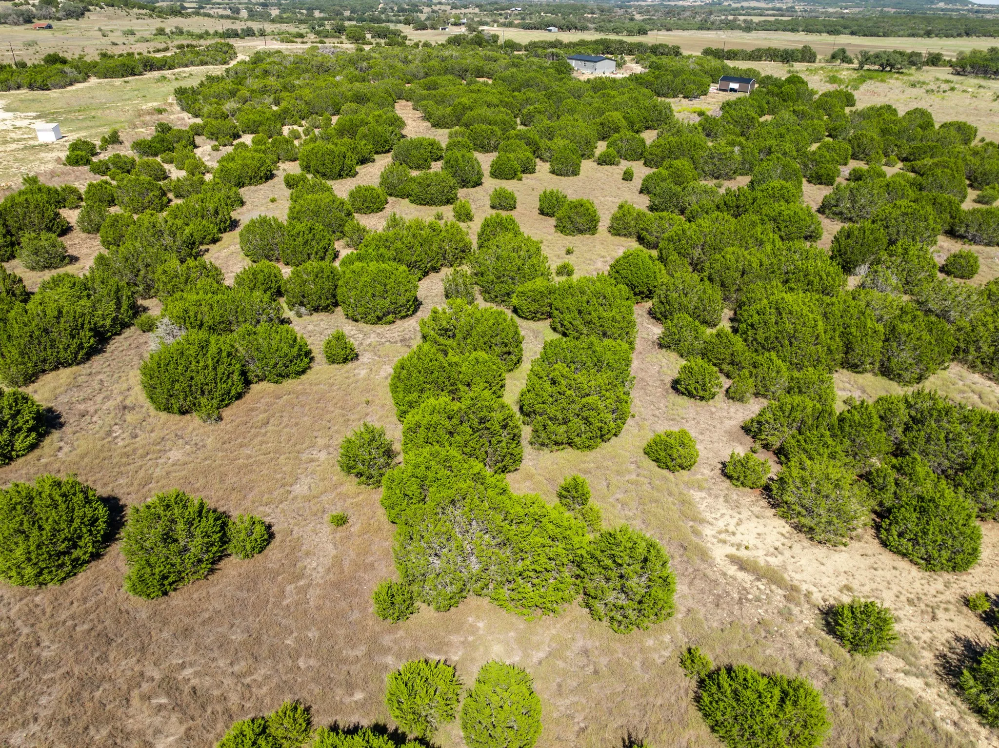 Unimproved Land For Sale in Coryell County , 2575 W County Road 154, Gatesville, Texas 76528, 0, 0, Garage spaces, 0 Sqft, built in 0, mls#21412503, Real Estate Agent in Gatesville, Homes For Sale in Coryell county, Homes For Sale in Gatesville, Realtor in Gatesville Texas, Real Estate Brokerage Independent Realty Texas, Luminita Cordes Realtor