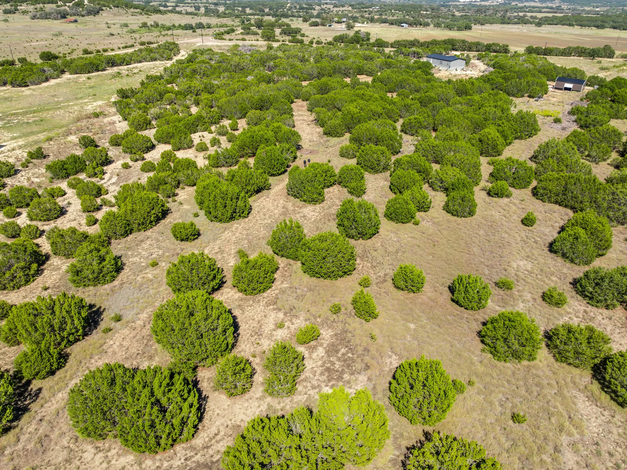 Unimproved Land For Sale in Coryell County , 2575 W County Road 154, Gatesville, Texas 76528, 0, 0, Garage spaces, 0 Sqft, built in 0, mls#21412503, Real Estate Agent in Gatesville, Homes For Sale in Coryell county, Homes For Sale in Gatesville, Realtor in Gatesville Texas, Real Estate Brokerage Independent Realty Texas, Luminita Cordes Realtor