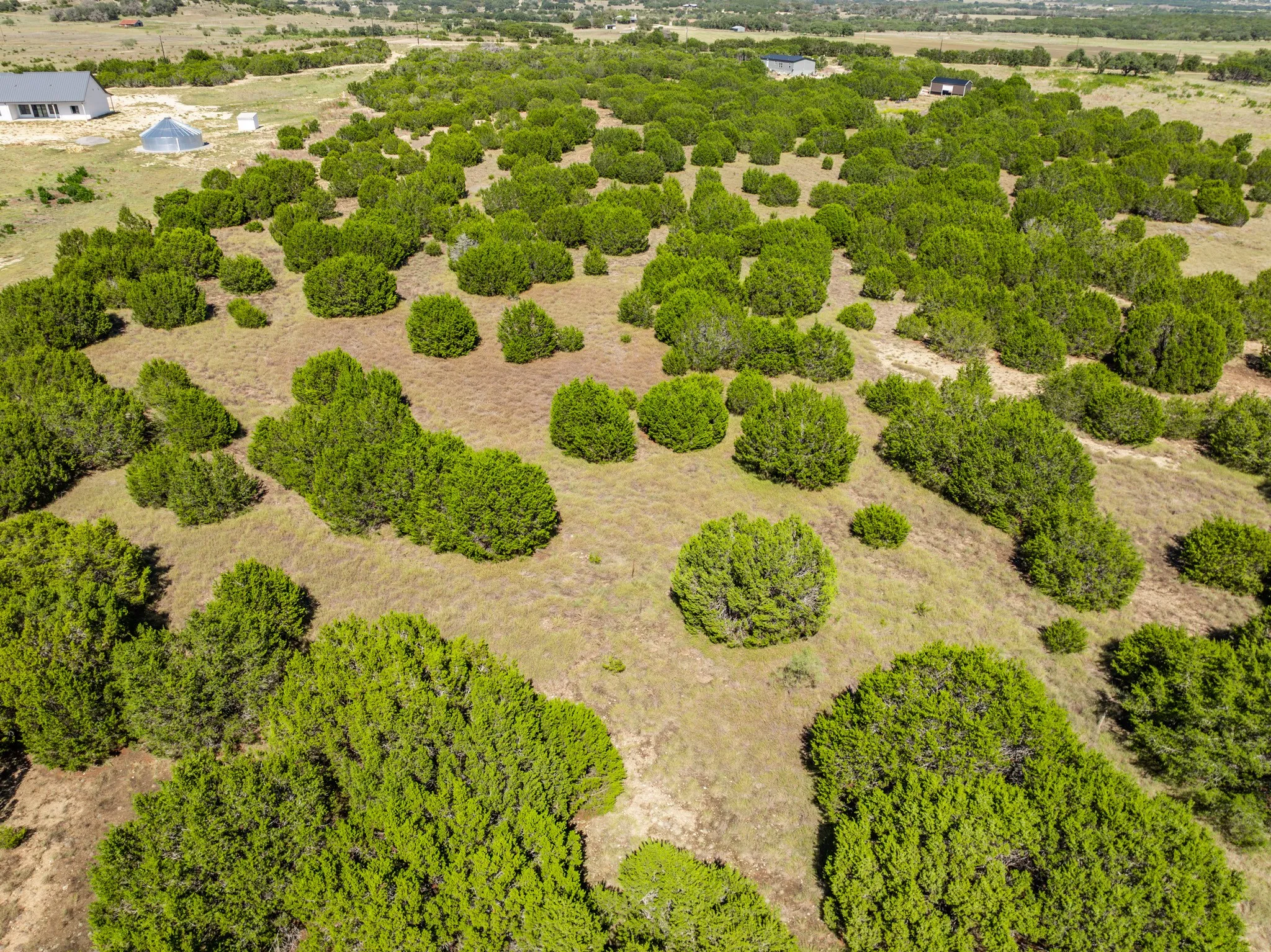 Unimproved Land For Sale in Coryell County , 2575 W County Road 154, Gatesville, Texas 76528, 0, 0, Garage spaces, 0 Sqft, built in 0, mls#21412503, Real Estate Agent in Gatesville, Homes For Sale in Coryell county, Homes For Sale in Gatesville, Realtor in Gatesville Texas, Real Estate Brokerage Independent Realty Texas, Luminita Cordes Realtor