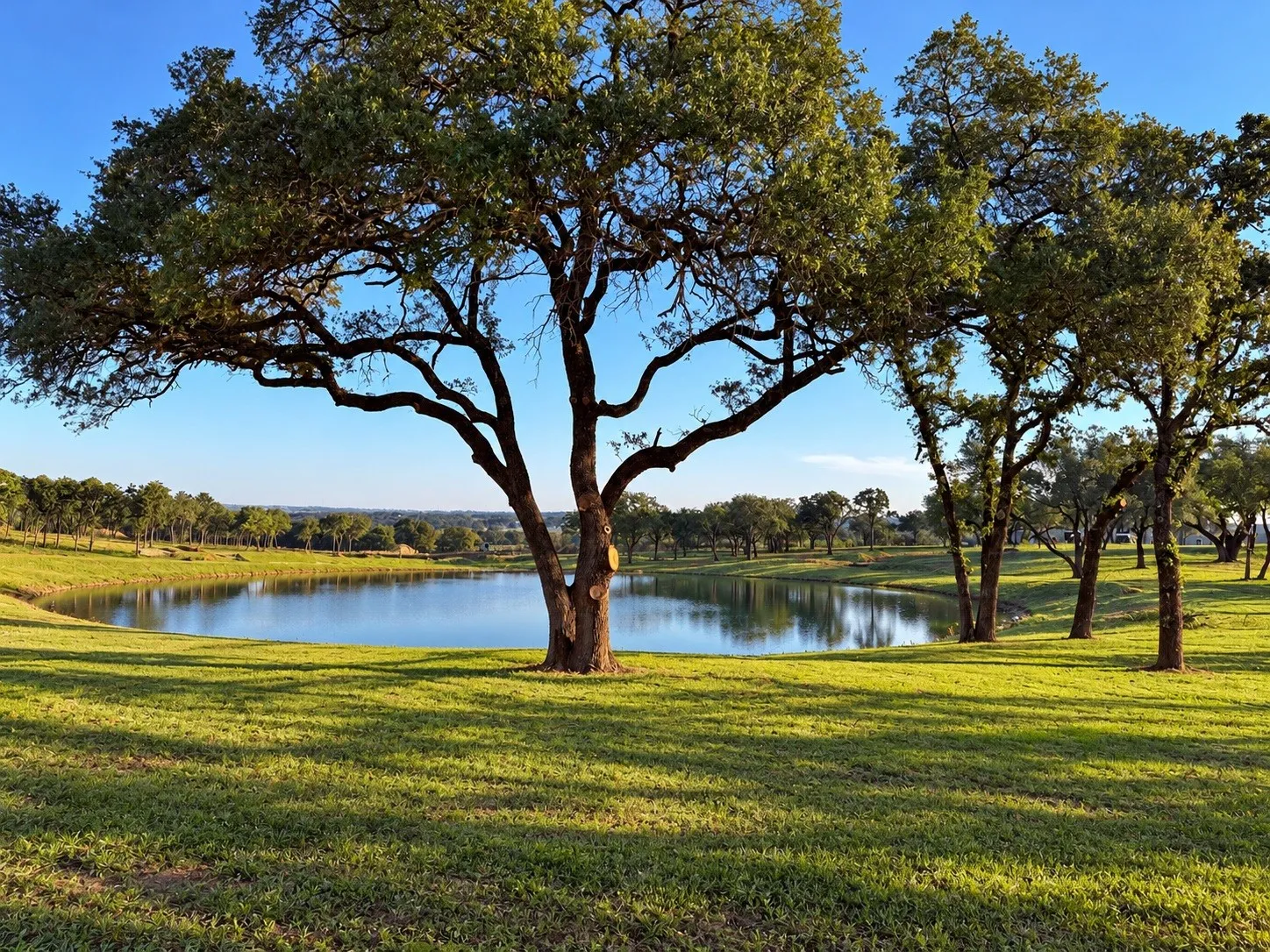 Improved Land For Sale