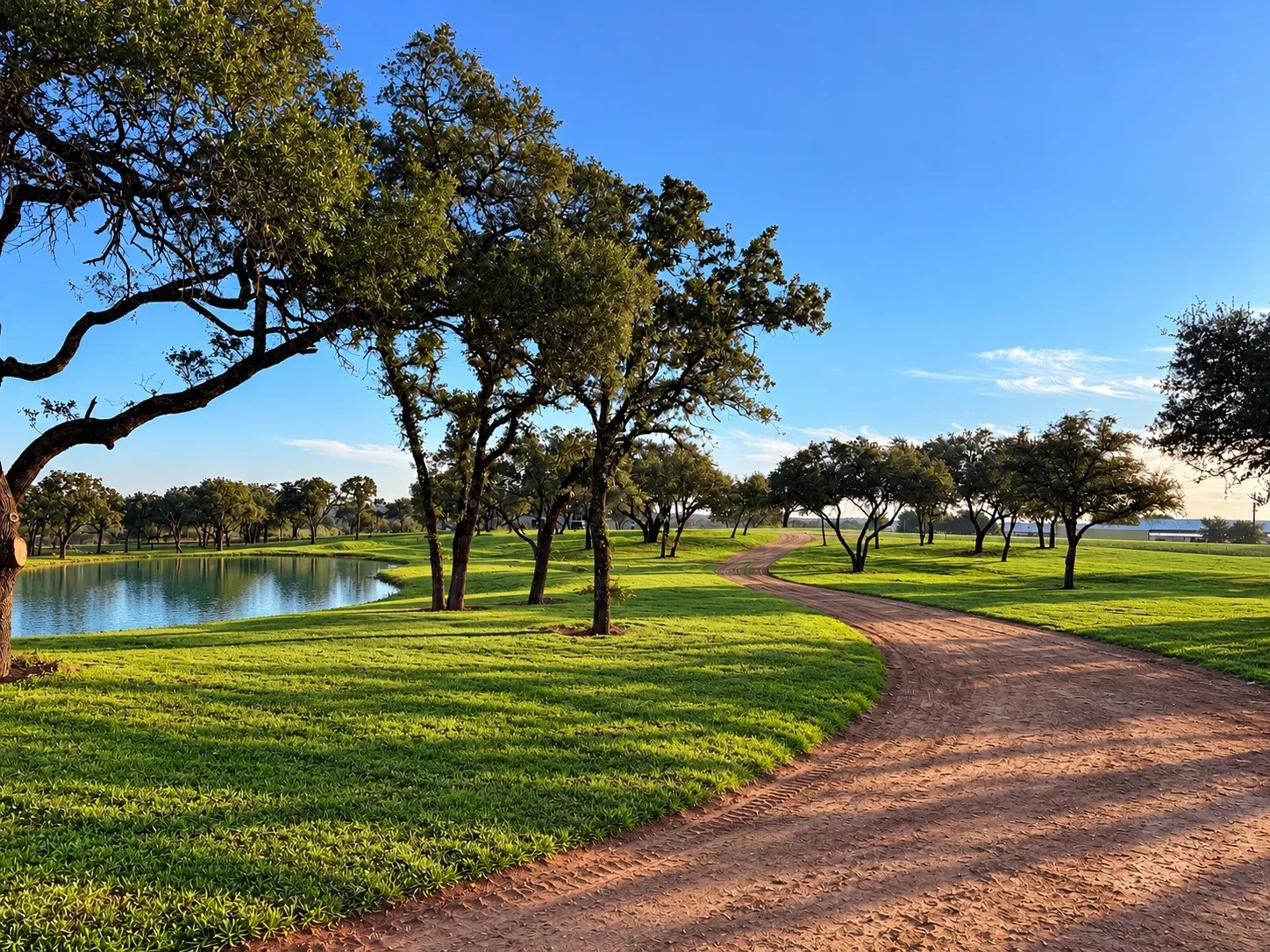 Improved Land For Sale in Parker County , TBD Thompson, Weatherford, Texas 76087, 0, 0, Garage spaces, 0 Sqft, built in 0, mls#21412595, Real Estate Agent in Weatherford, Homes For Sale in Parker county, Homes For Sale in Weatherford, Realtor in Weatherford Texas, Real Estate Brokerage Independent Realty Texas, Luminita Cordes Realtor