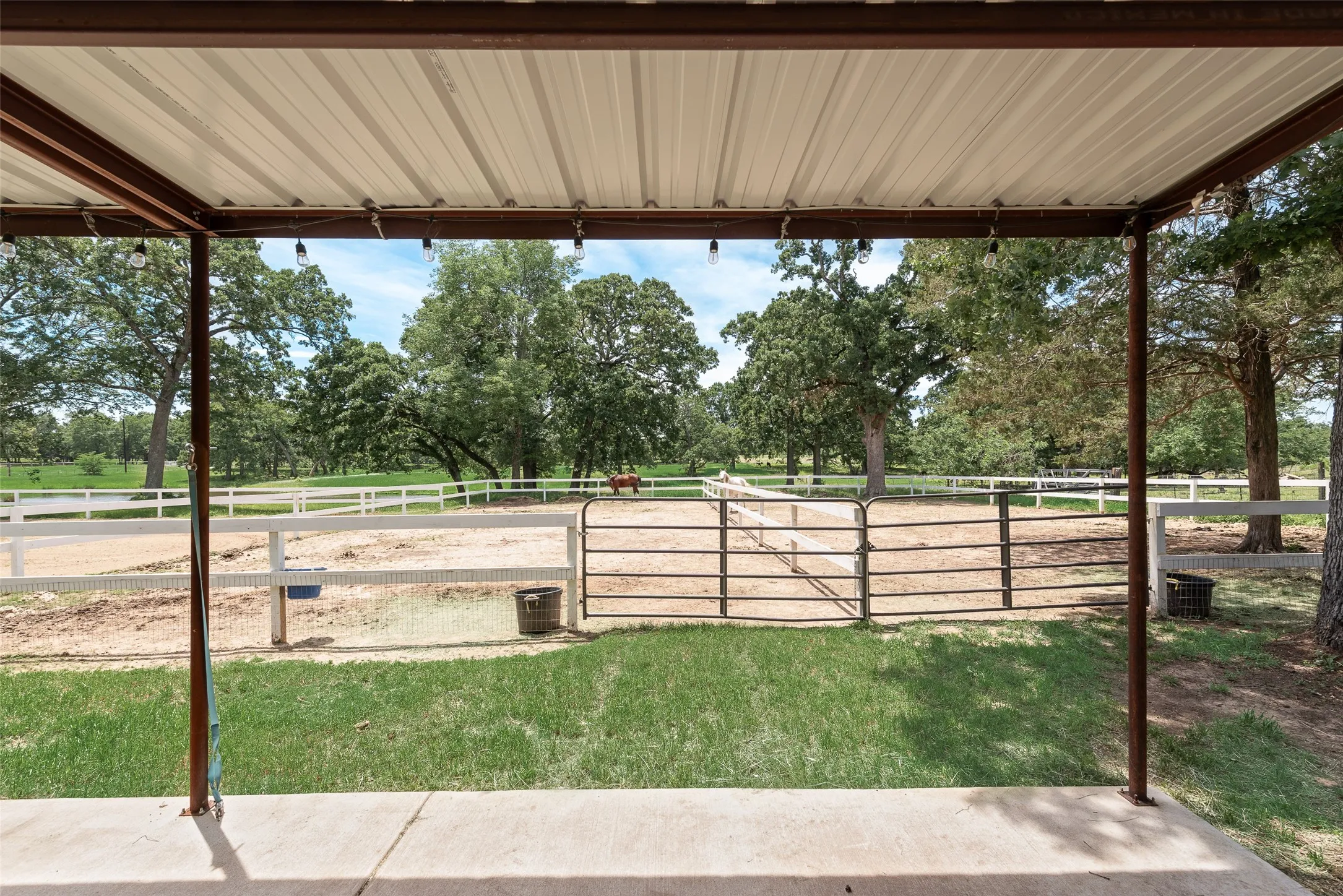 Paddocks