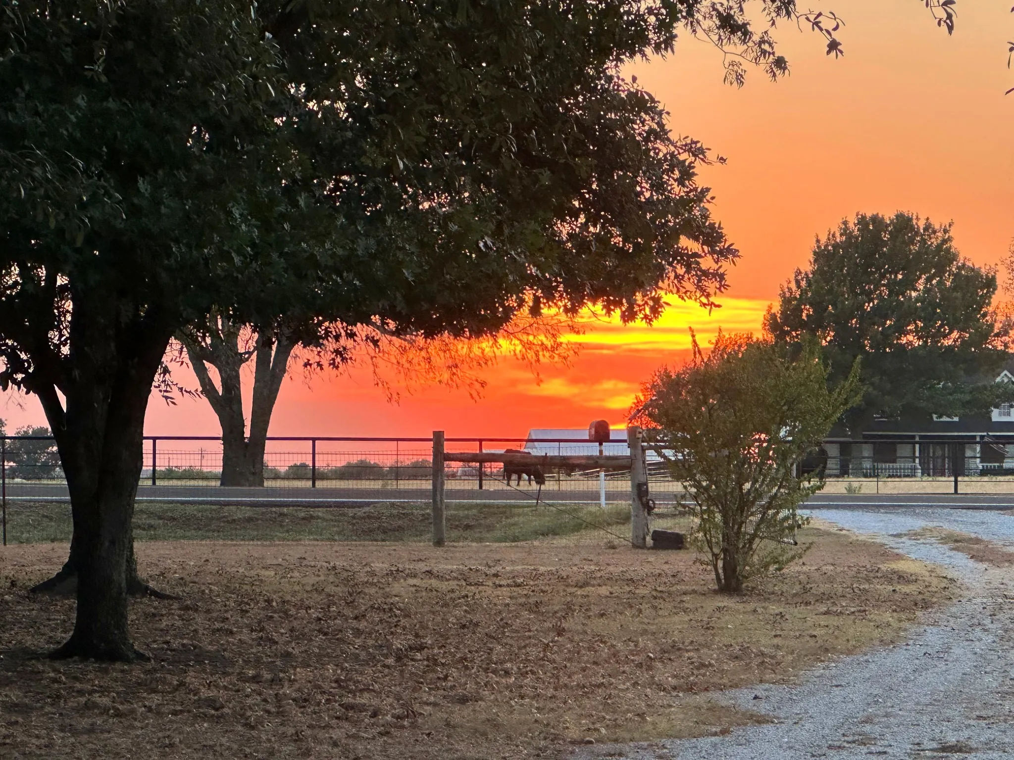 Single Family Residence For Sale in Denton County , 13800 Fm 1384, Justin, Texas 76247, 3 Bedroom, 2 Bathroom, Garage spaces, 1,550 Sqft, built in 1985, mls#21412693, Real Estate Agent in Justin, Homes For Sale in Denton county, Homes For Sale in Justin, Realtor in Justin Texas, Real Estate Brokerage Independent Realty Texas, Luminita Cordes Realtor
