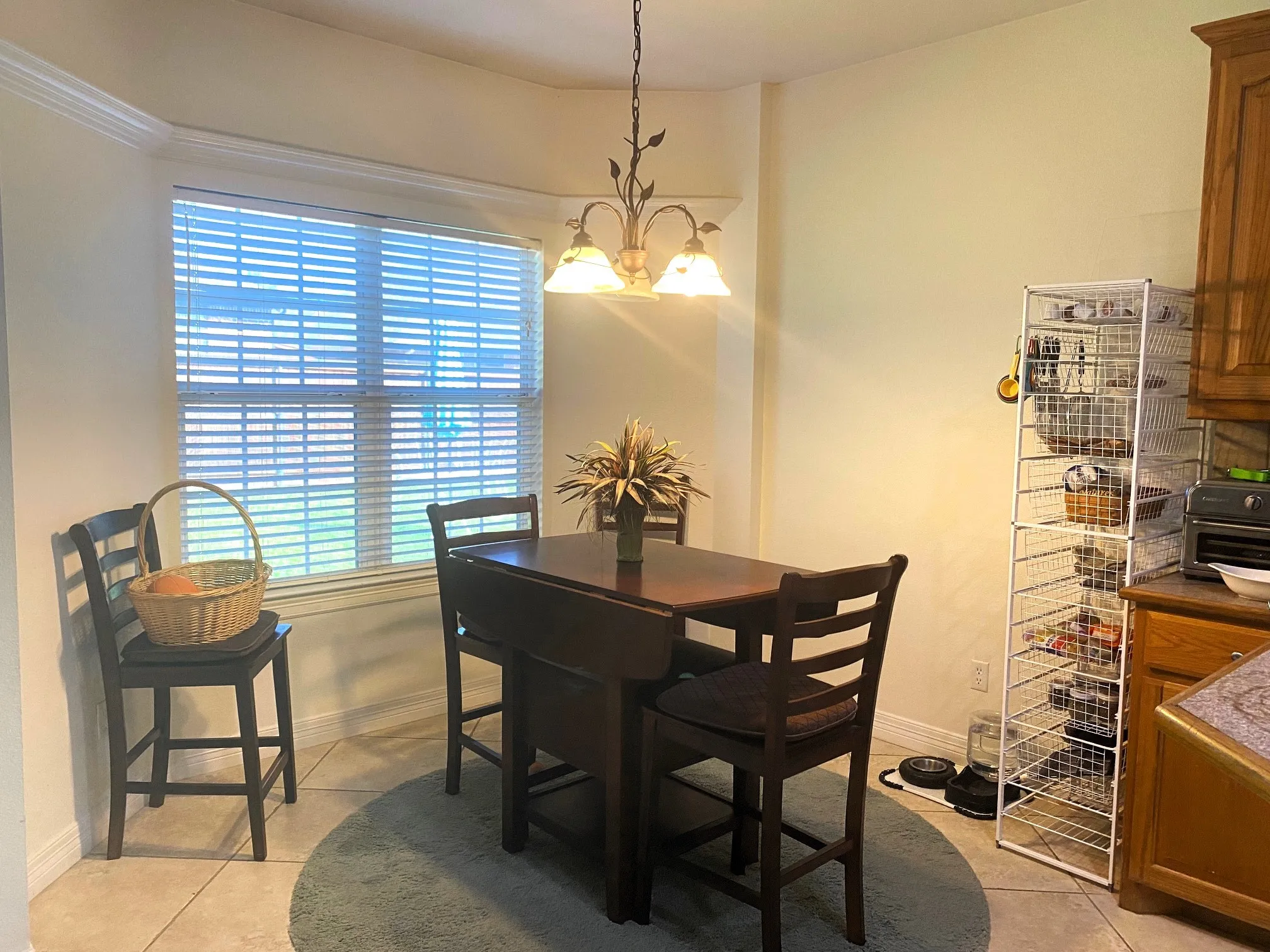 Single Family Residence For Rent in Grayson County , 4813 Indio Lane, Sherman, Texas 75092, 3 Bedroom, 2 Bathroom, 2 Garage spaces, 1,588 Sqft, built in 2005, mls#21359390, Real Estate Agent in Sherman, Homes For Rent in Grayson county, Homes For Rent in Sherman, Realtor in Sherman Texas, Real Estate Brokerage Independent Realty Texas, Luminita Cordes Realtor