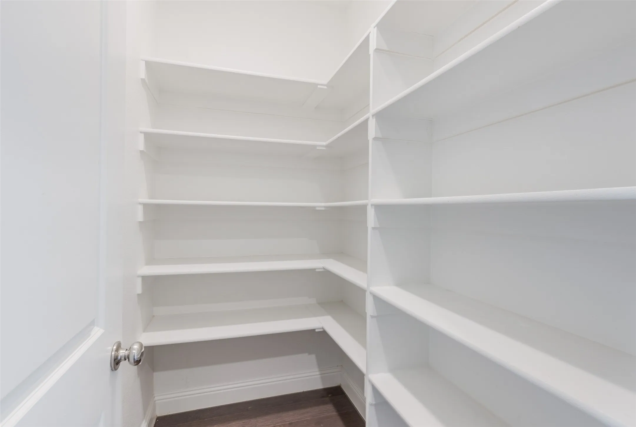 Spacious Pantry