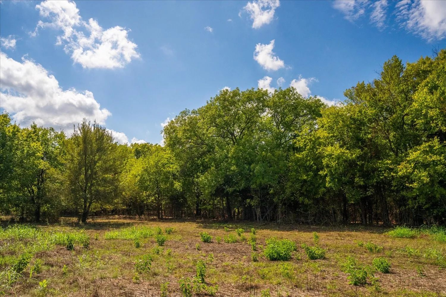 Unimproved Land For Sale in Collin County , TBD County Road 936, Anna, Texas 75409, 0, 0, Garage spaces, 0 Sqft, built in 0, mls#21412838, Real Estate Agent in Anna, Homes For Sale in Collin county, Homes For Sale in Anna, Realtor in Anna Texas, Real Estate Brokerage Independent Realty Texas, Luminita Cordes Realtor