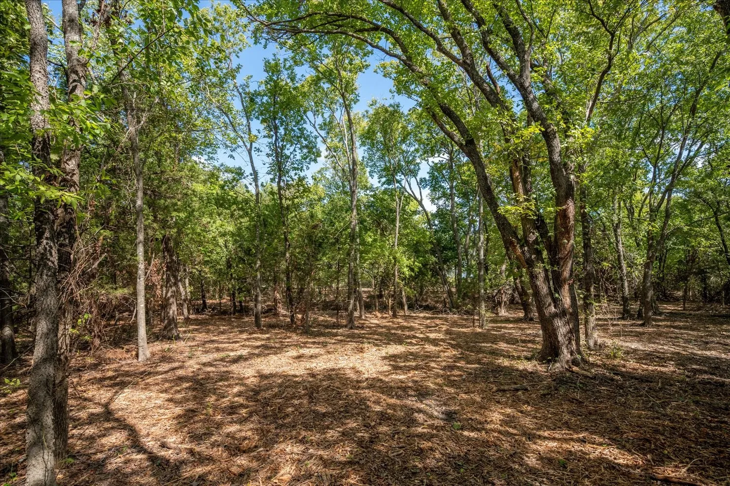Unimproved Land For Sale in Collin County , TBD County Road 936, Anna, Texas 75409, 0, 0, Garage spaces, 0 Sqft, built in 0, mls#21412838, Real Estate Agent in Anna, Homes For Sale in Collin county, Homes For Sale in Anna, Realtor in Anna Texas, Real Estate Brokerage Independent Realty Texas, Luminita Cordes Realtor