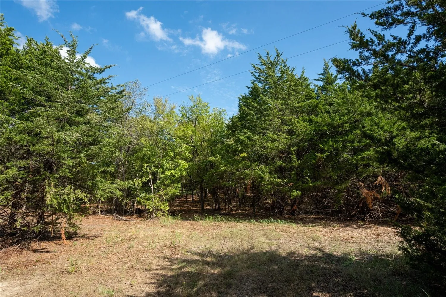 Unimproved Land For Sale in Collin County , TBD County Road 936, Anna, Texas 75409, 0, 0, Garage spaces, 0 Sqft, built in 0, mls#21412838, Real Estate Agent in Anna, Homes For Sale in Collin county, Homes For Sale in Anna, Realtor in Anna Texas, Real Estate Brokerage Independent Realty Texas, Luminita Cordes Realtor